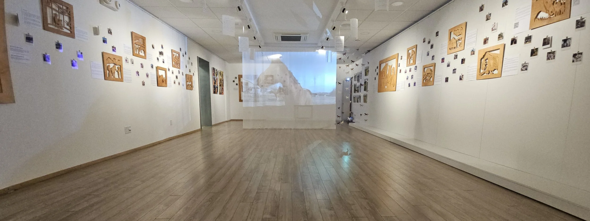 Gallery-40.jpg