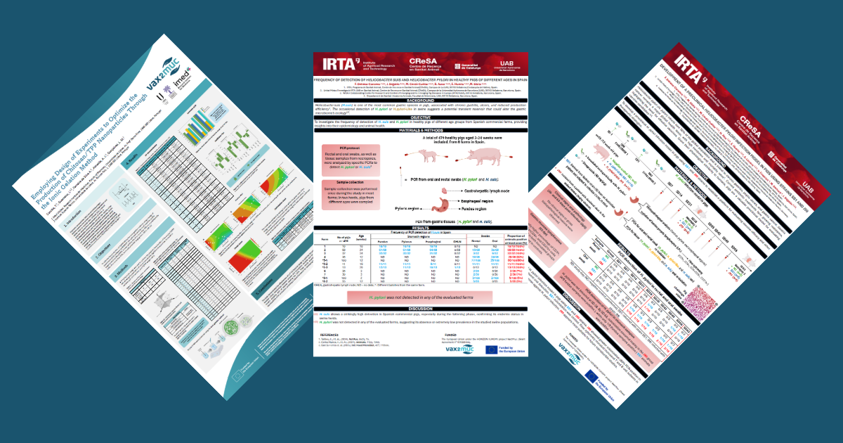 Vax2Muc research highlights: from nanoparticles to preclinical models