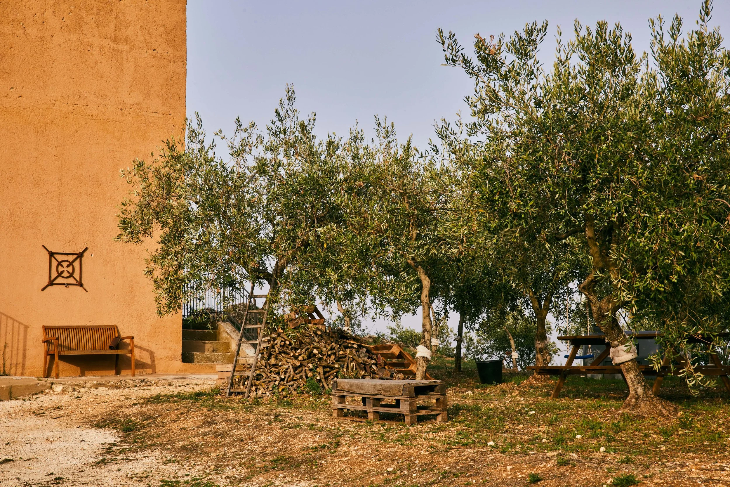 MCL_OliveOil-Sicily-Vivant_ 9.jpg