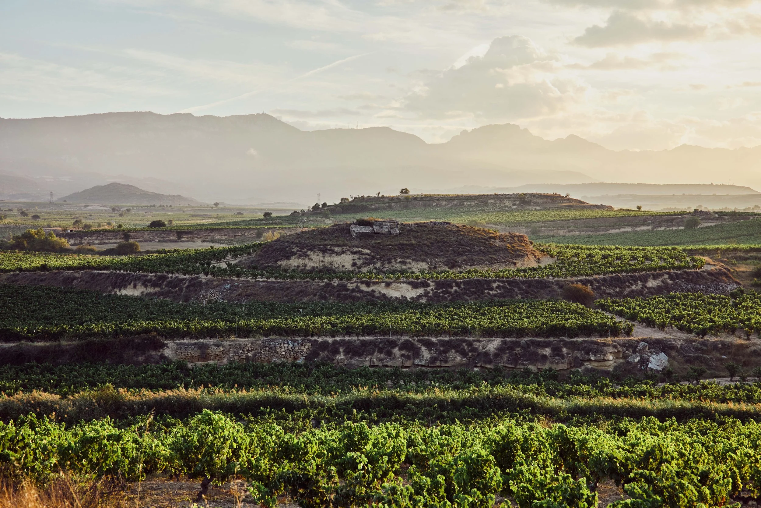 SP-RJ-PR-03_Exopto 11.jpg