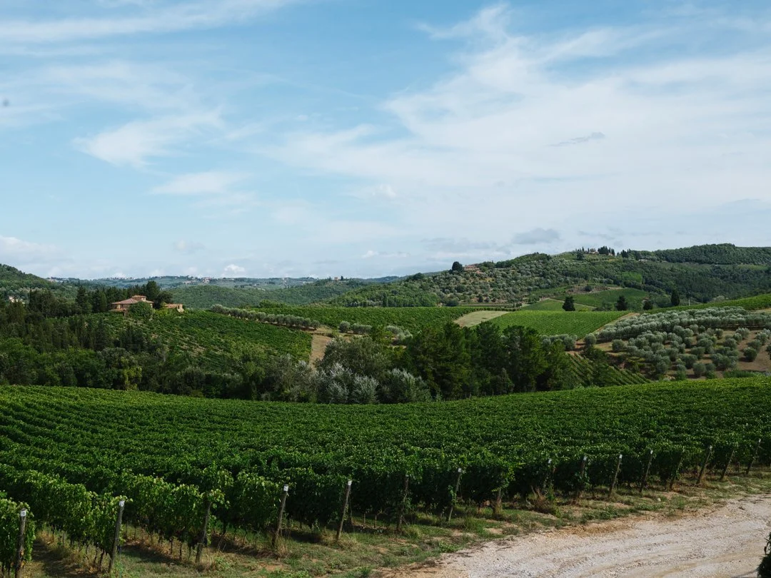 MCL_CastelloDiMonsanto-Winery_2025_22.jpg
