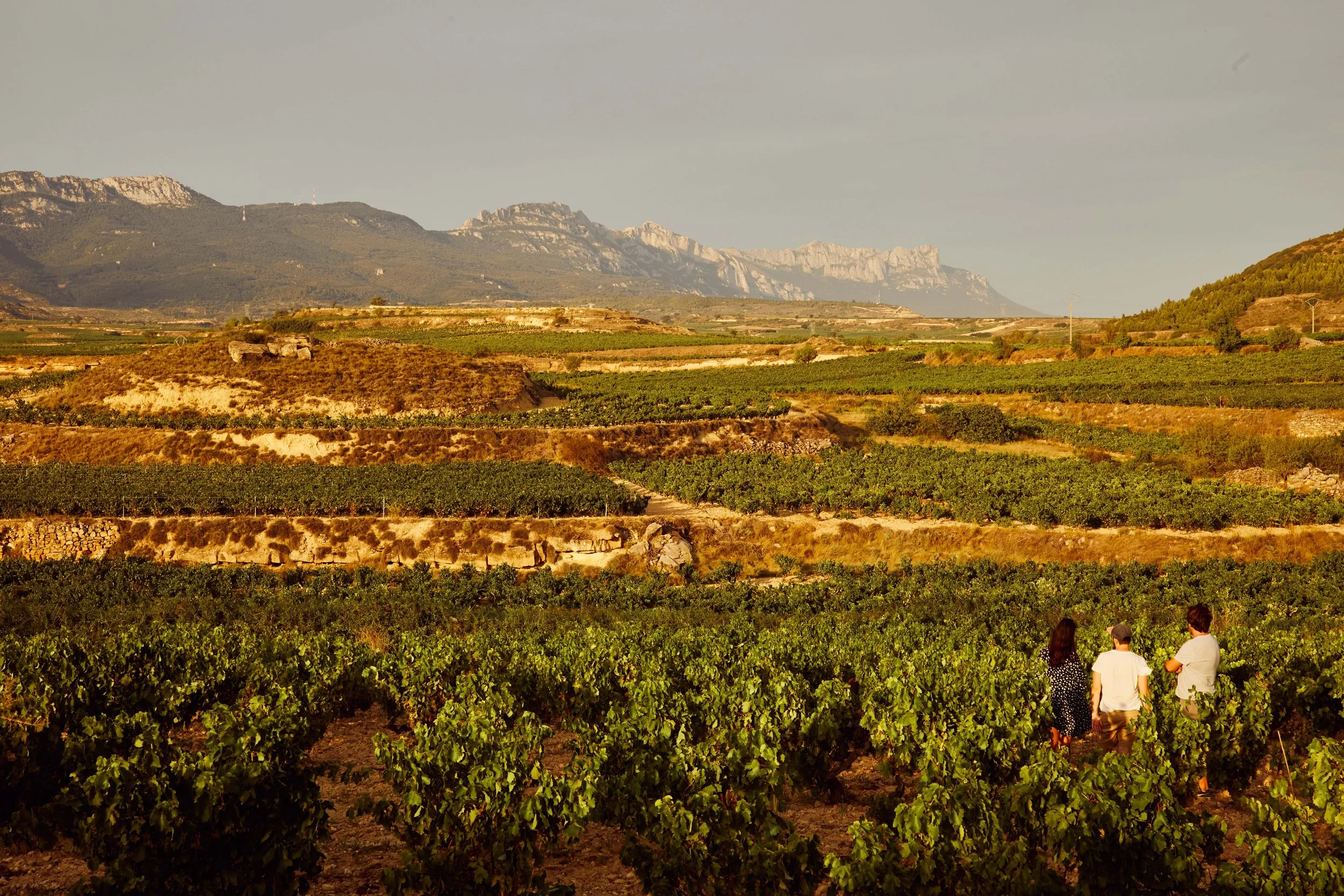 SP-RJ-PR-03_Exopto 6.jpg