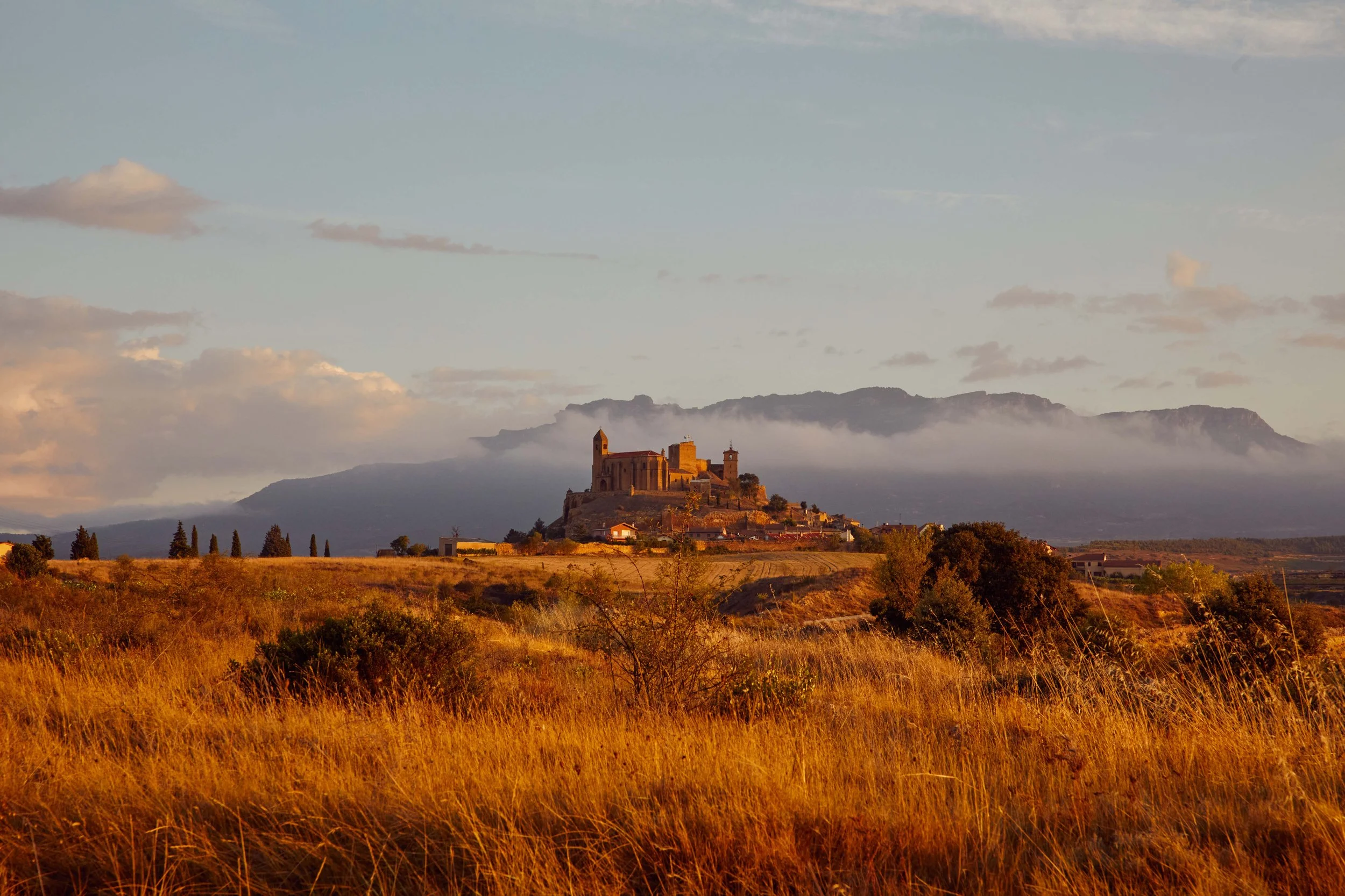 SP-RJ-PR-03_Exopto 9.jpg