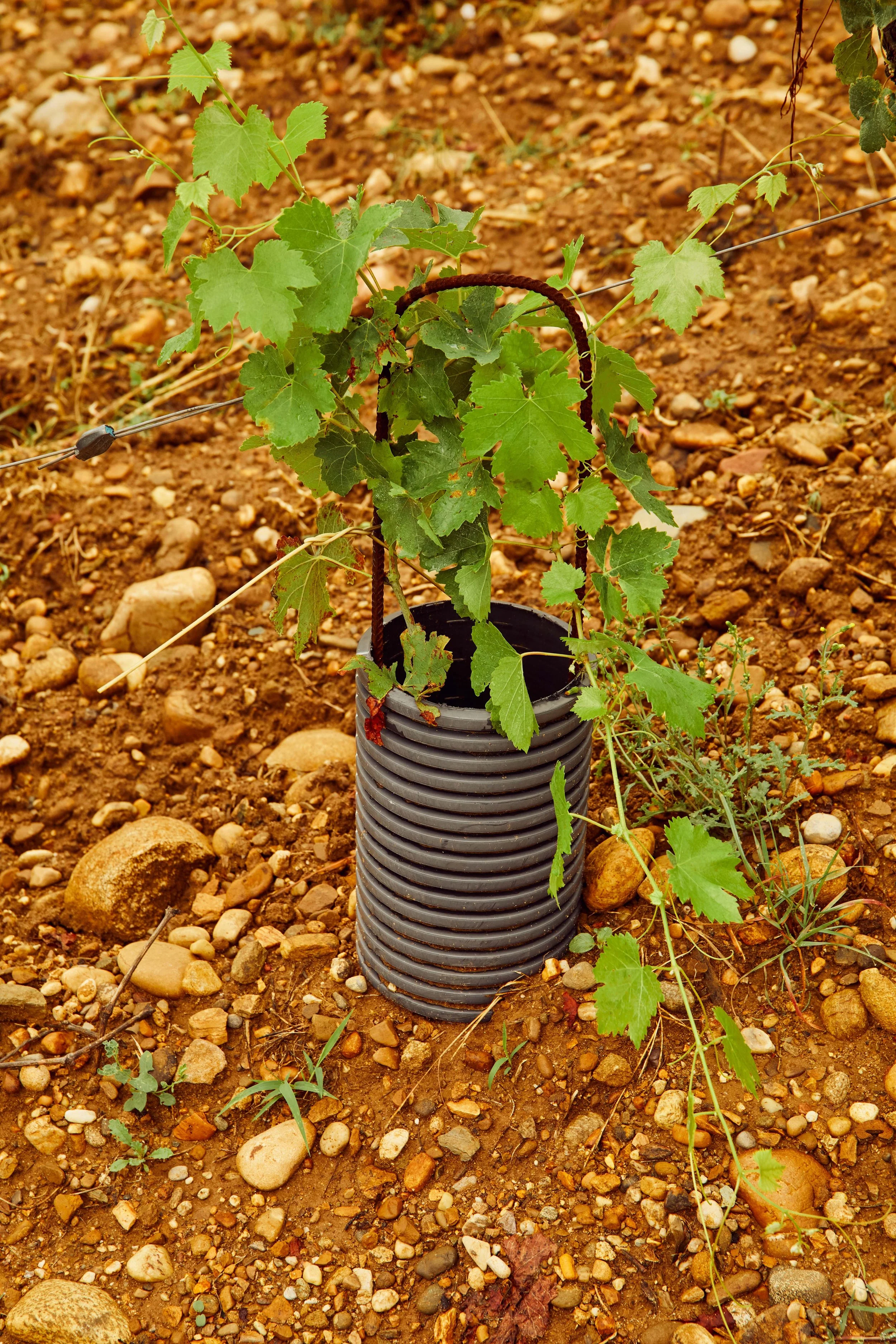 FR-RH-PR-03- Chave 24.jpg