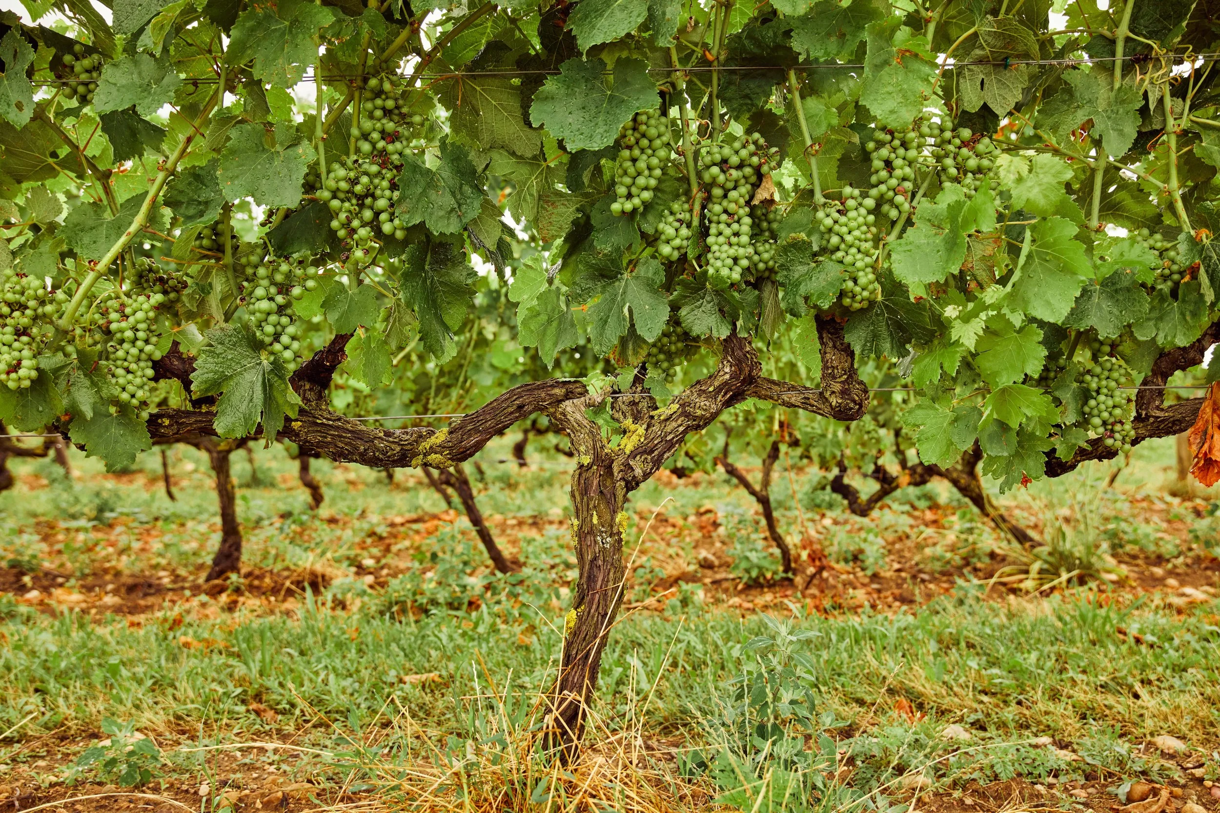 FR-RH-PR-04-Yann 1.jpg