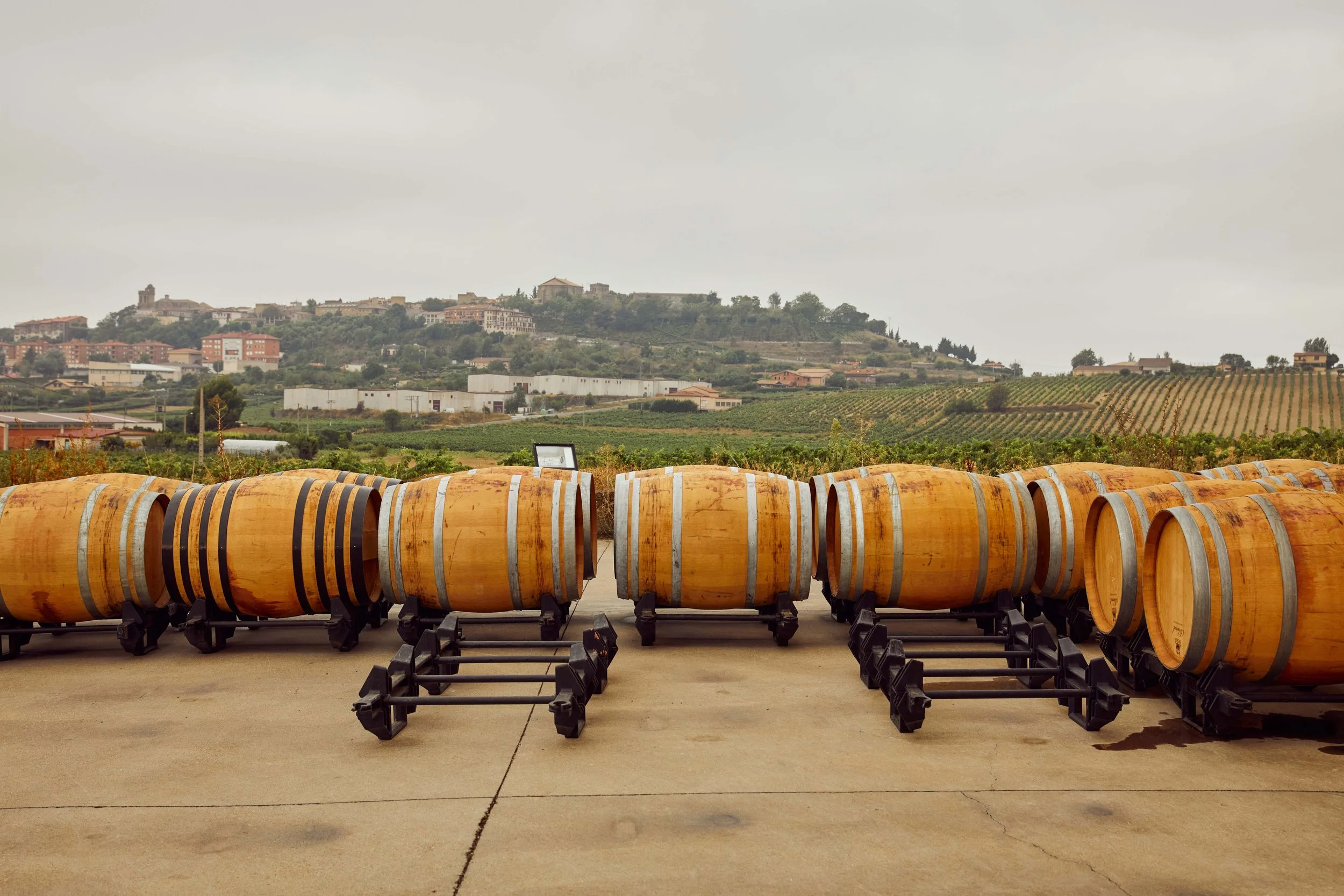 SP-RJ-PR-02_Pujanza 17.jpg