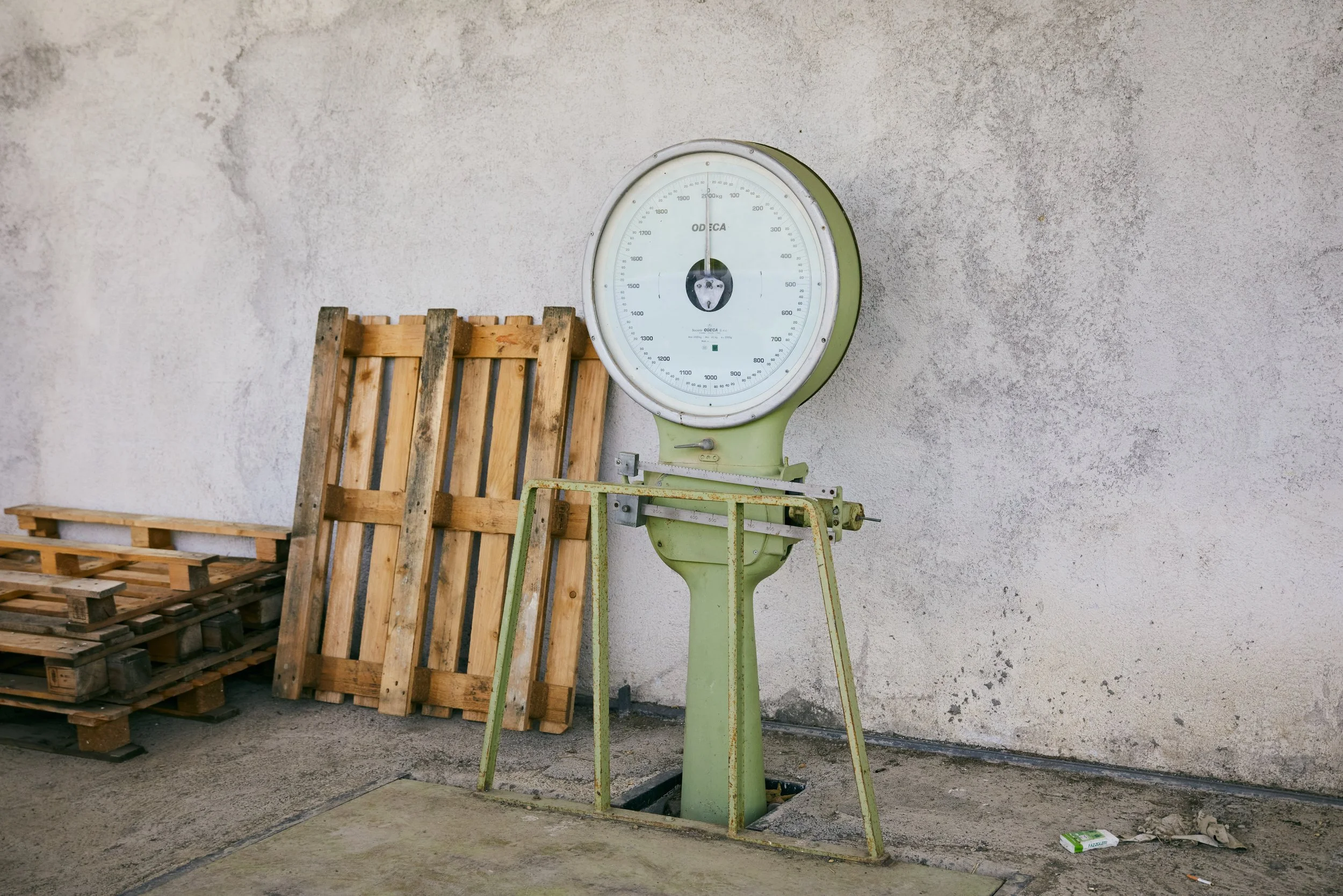 MCL_PistaccioFarm-Sicily21_ 22.jpg