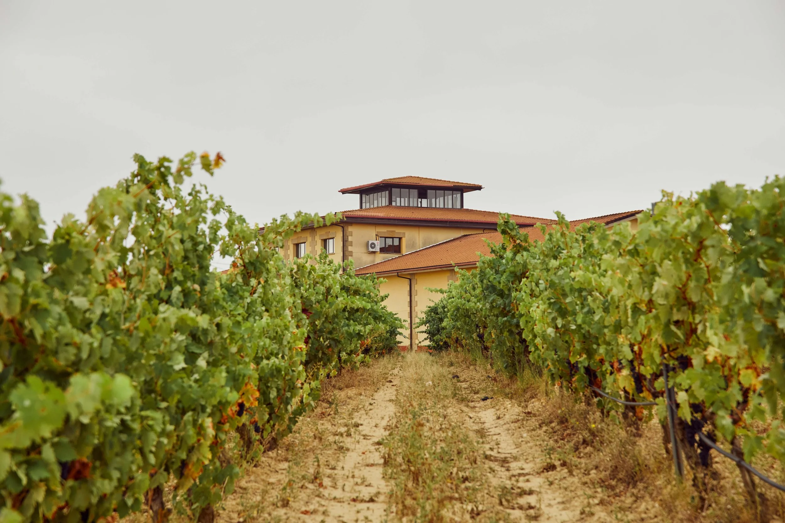 SP-RJ-PR-02_Pujanza 29.jpg