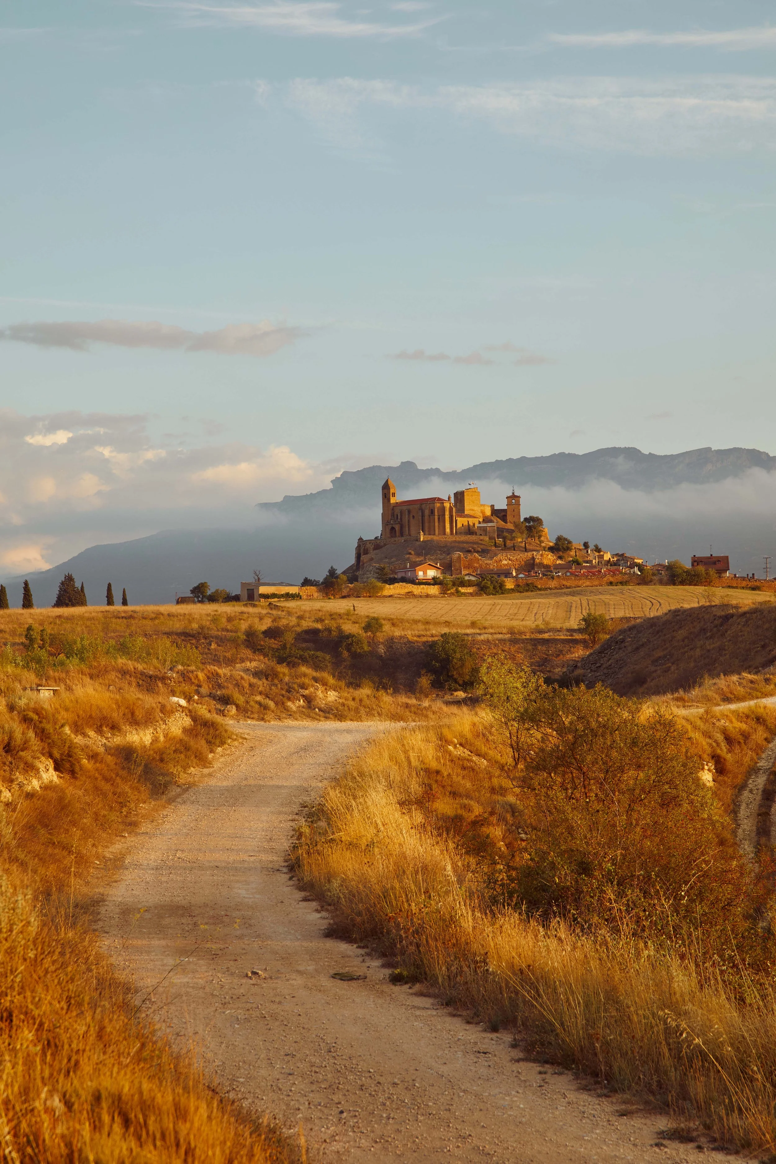 SP-RJ-PR-03_Exopto 13.jpg