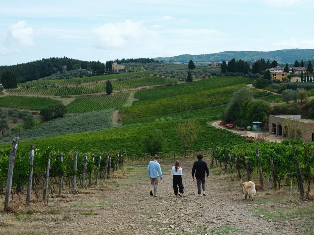 MCL_CastelloDiMonsanto-Winery_2025_56.jpg