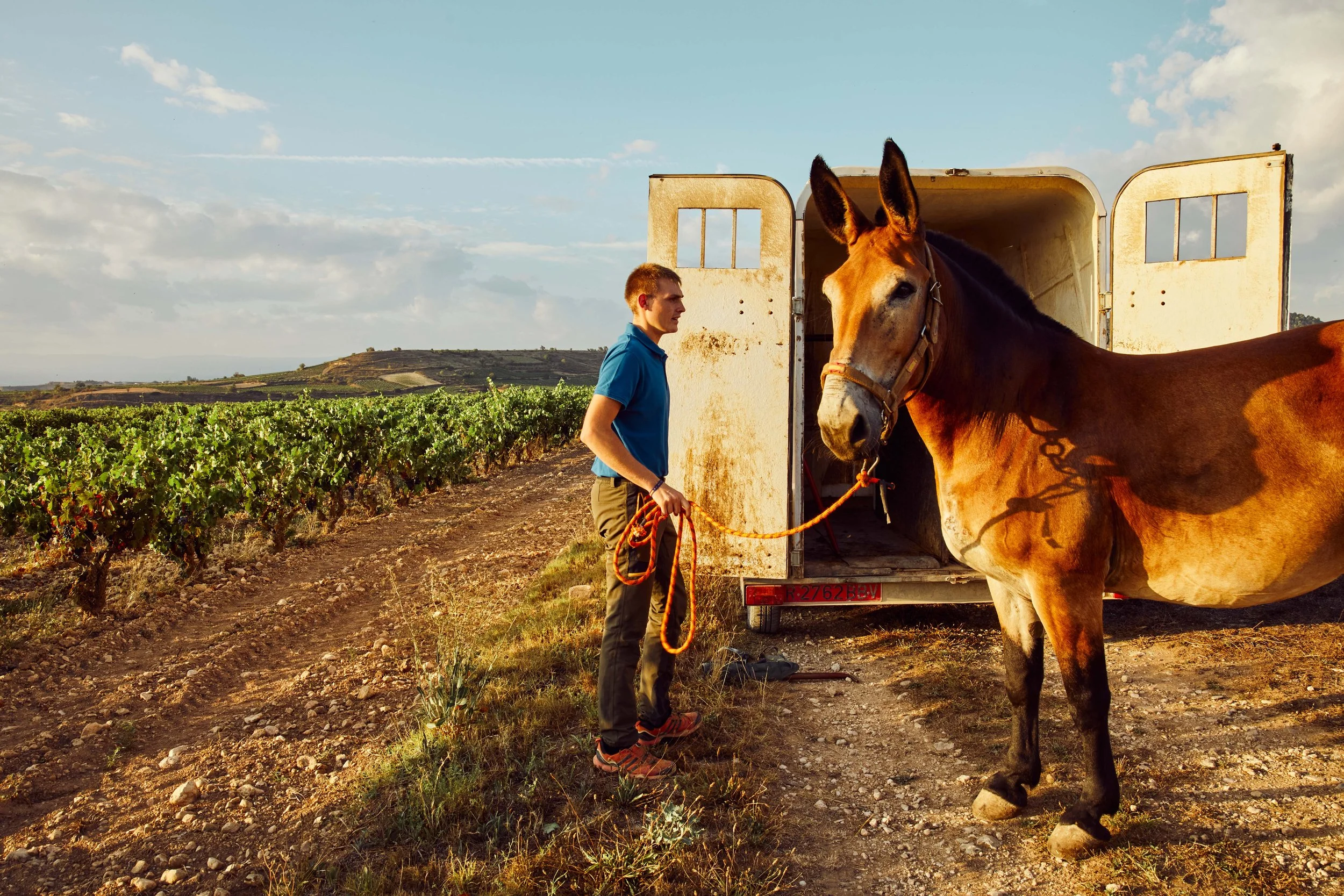 SP-RJ-PR-03_Exopto 18.jpg