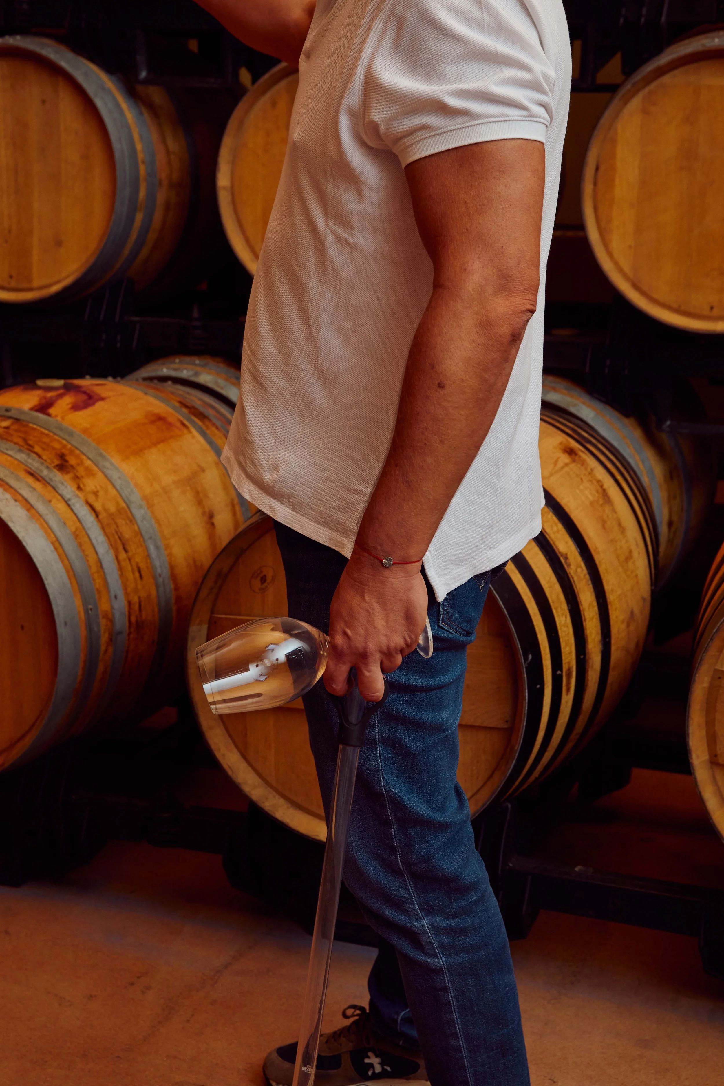 SP-RJ-PR-02_Pujanza 34.jpg