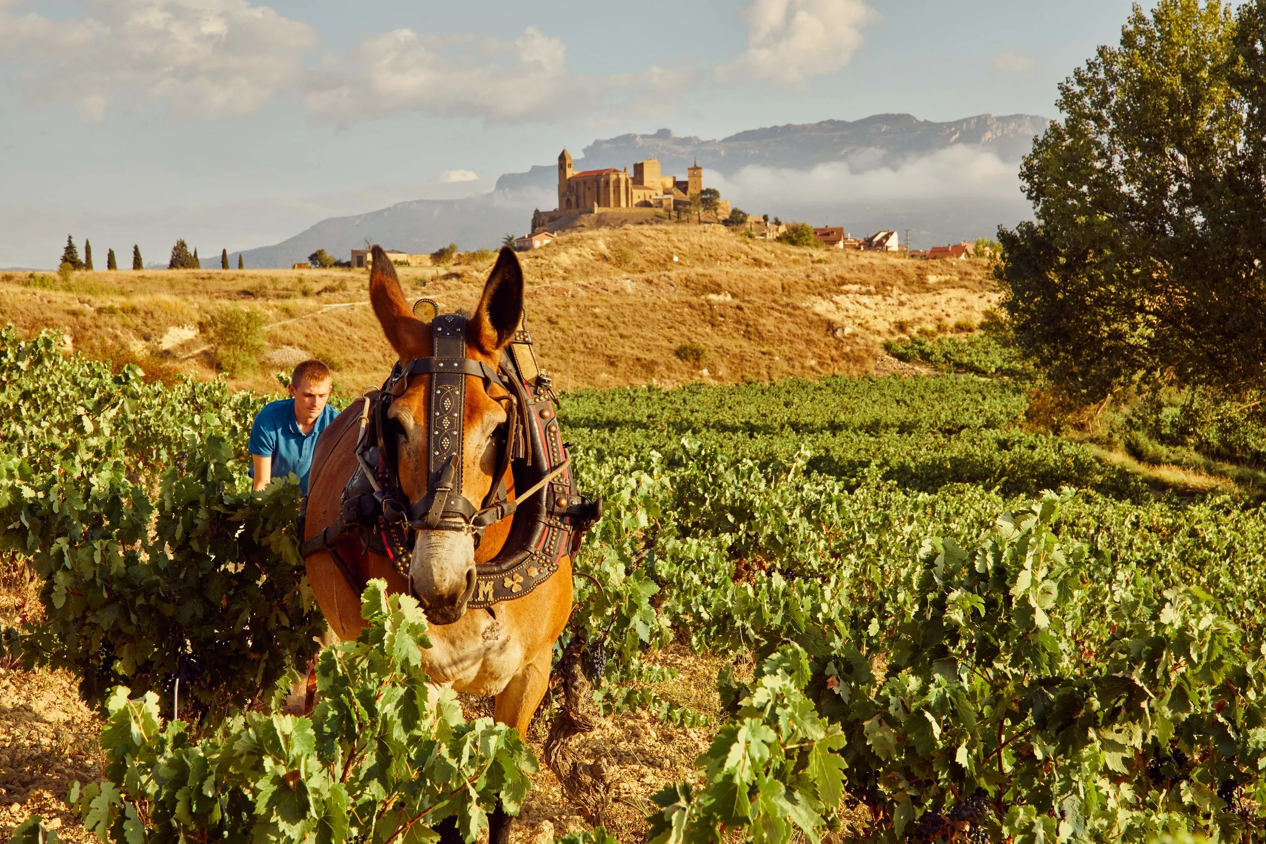 SP-RJ-PR-03_Exopto 34.jpg