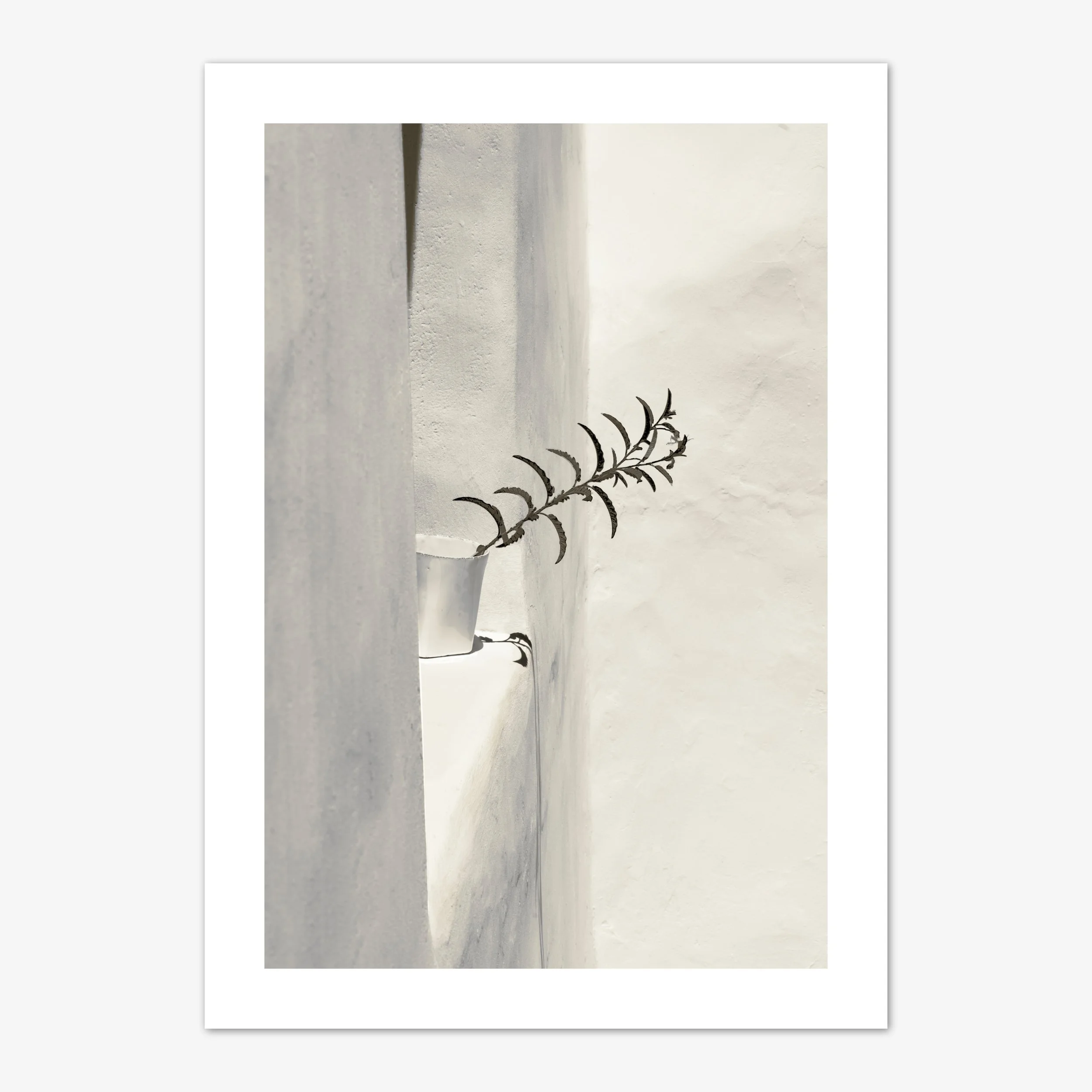 'LIMINAL'