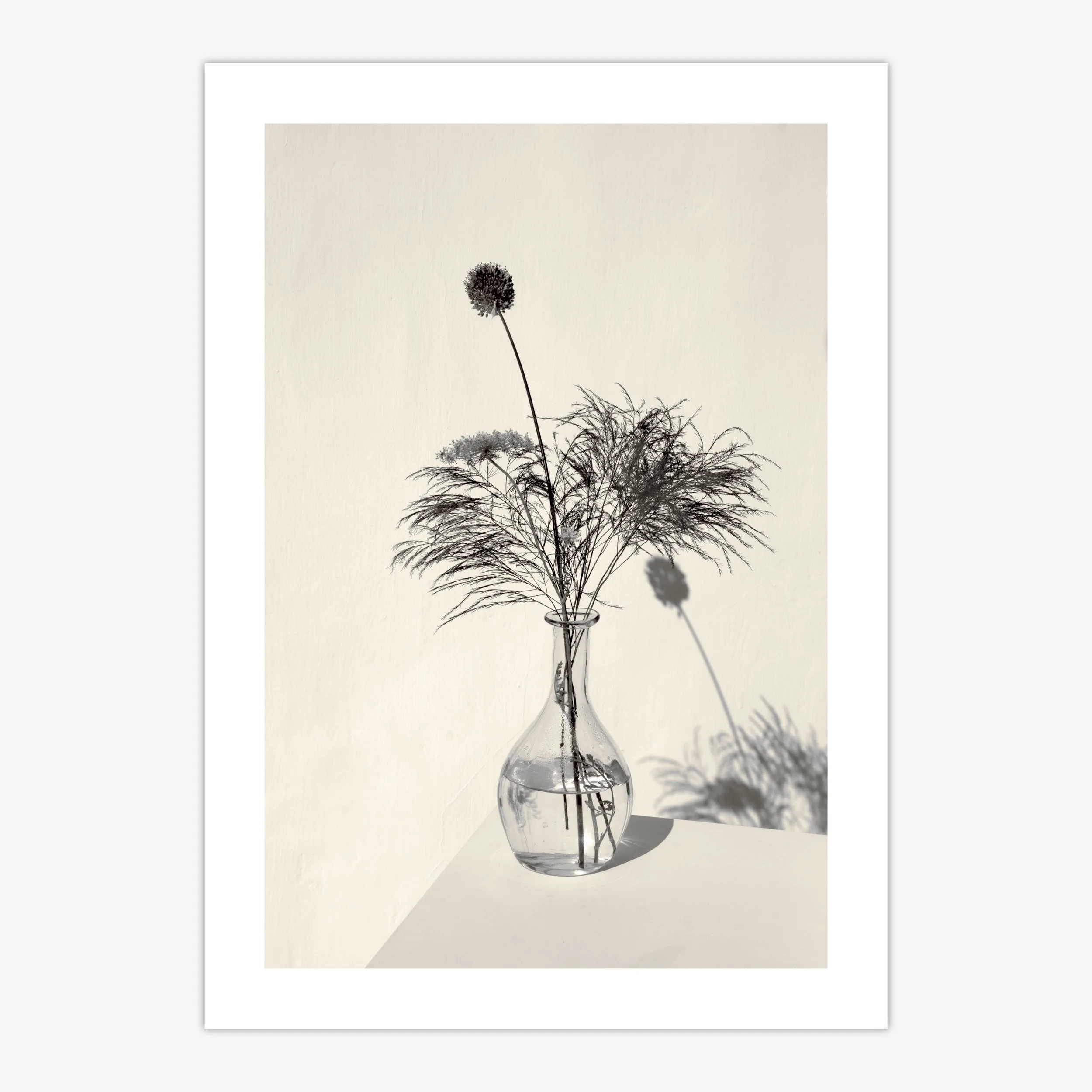 ' WILD GRACE'