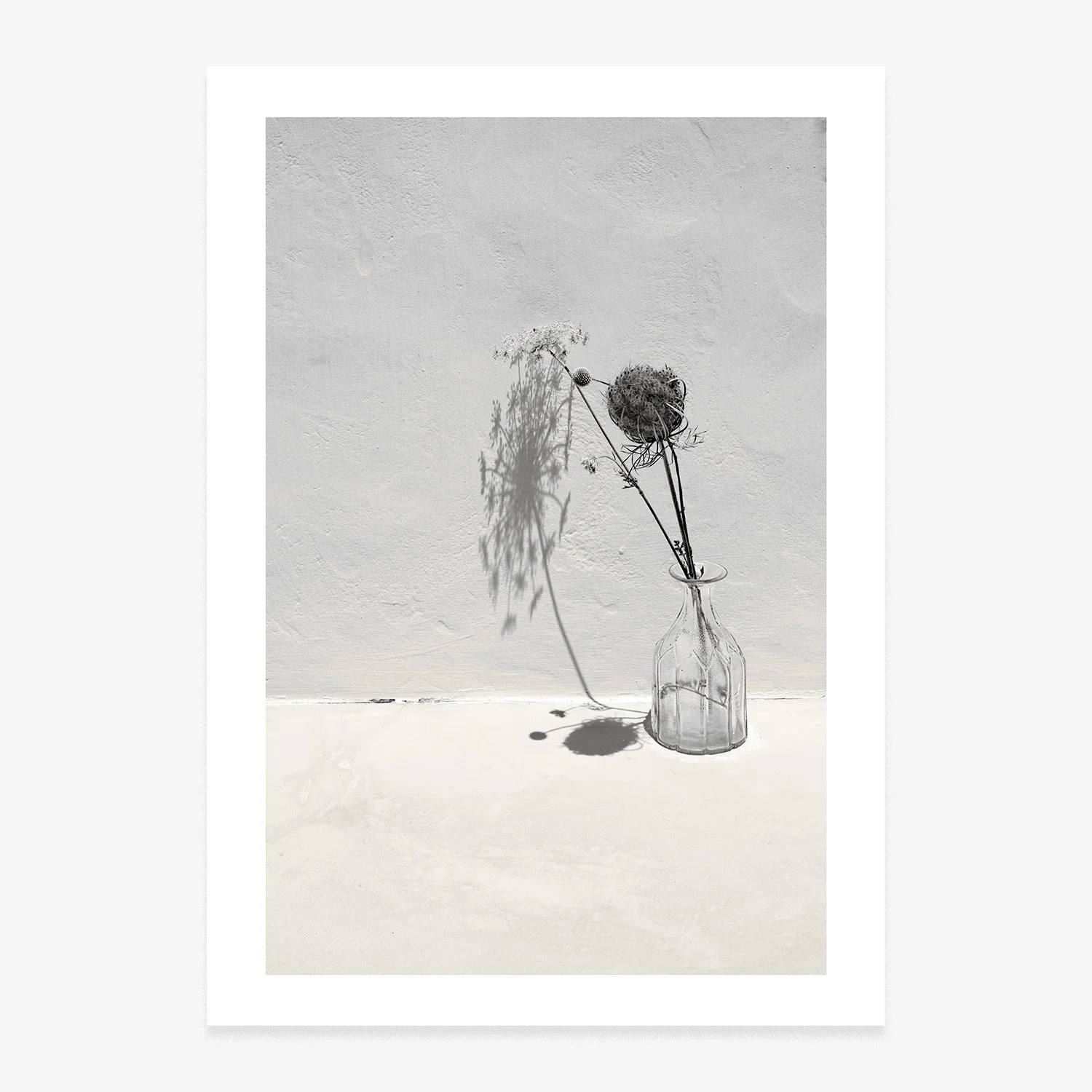 'METAMORPHOSIS'