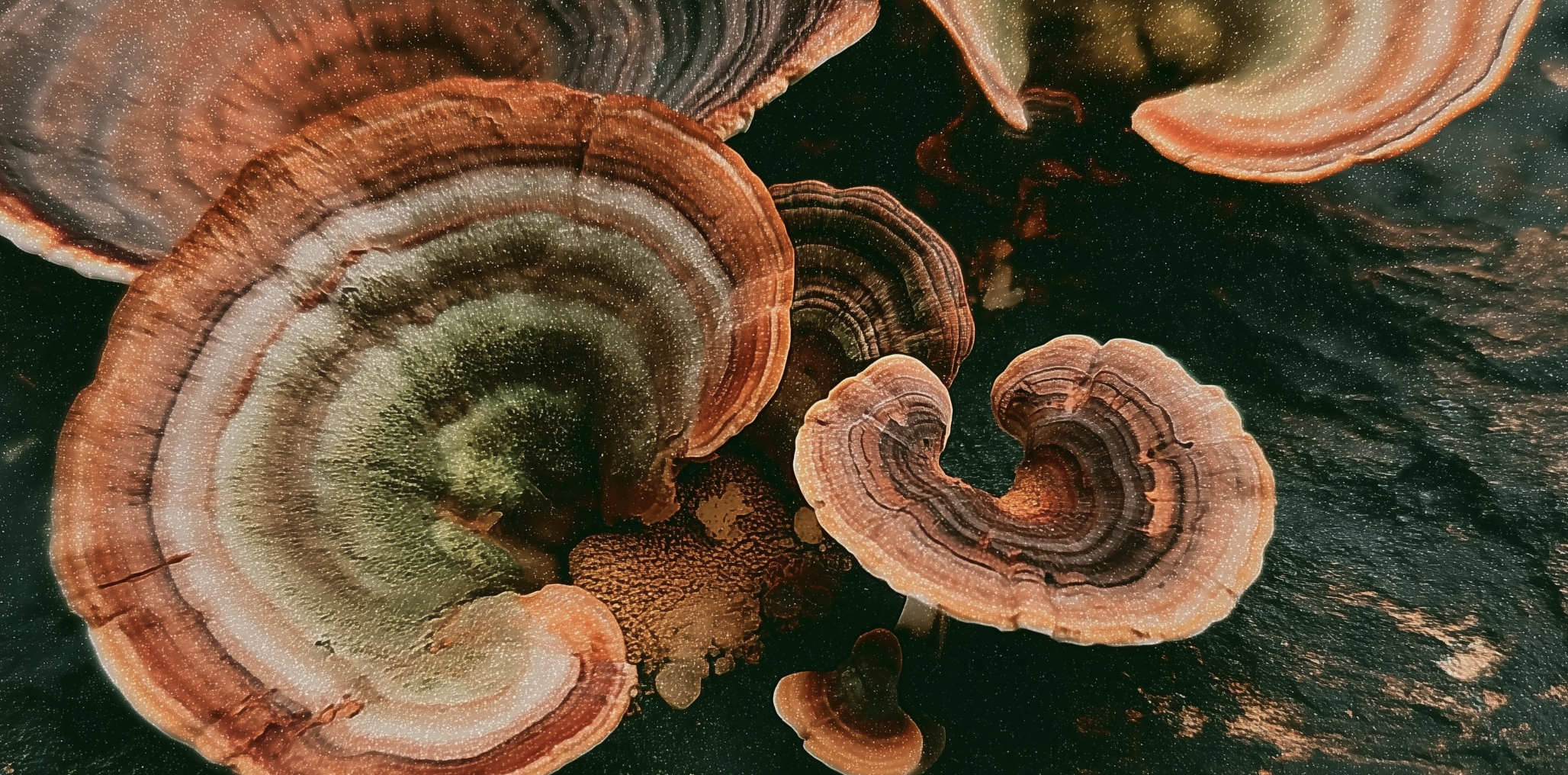 Screenshot 2026-02-16 at 21.29.59.png