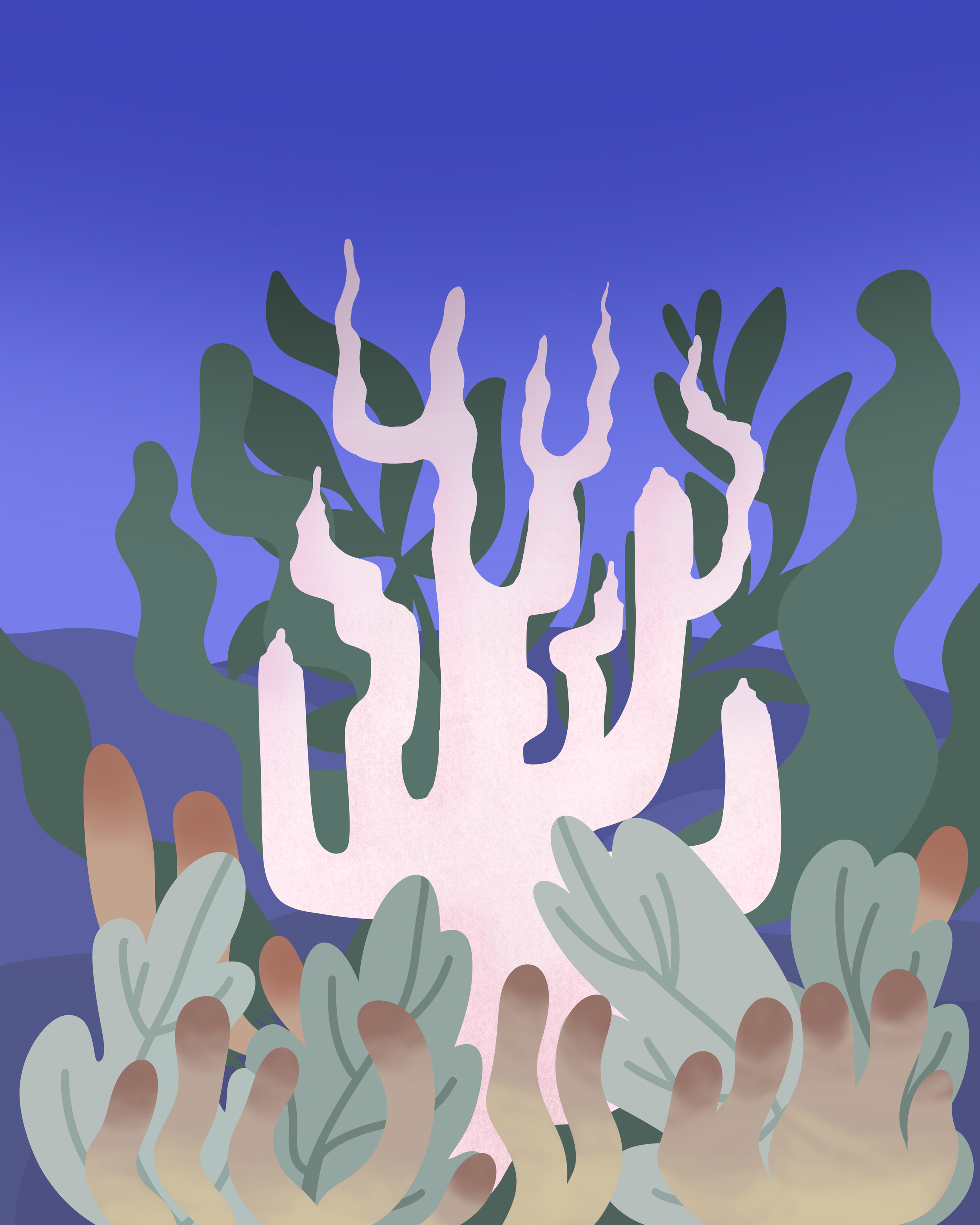 Coral_Bleaching.png