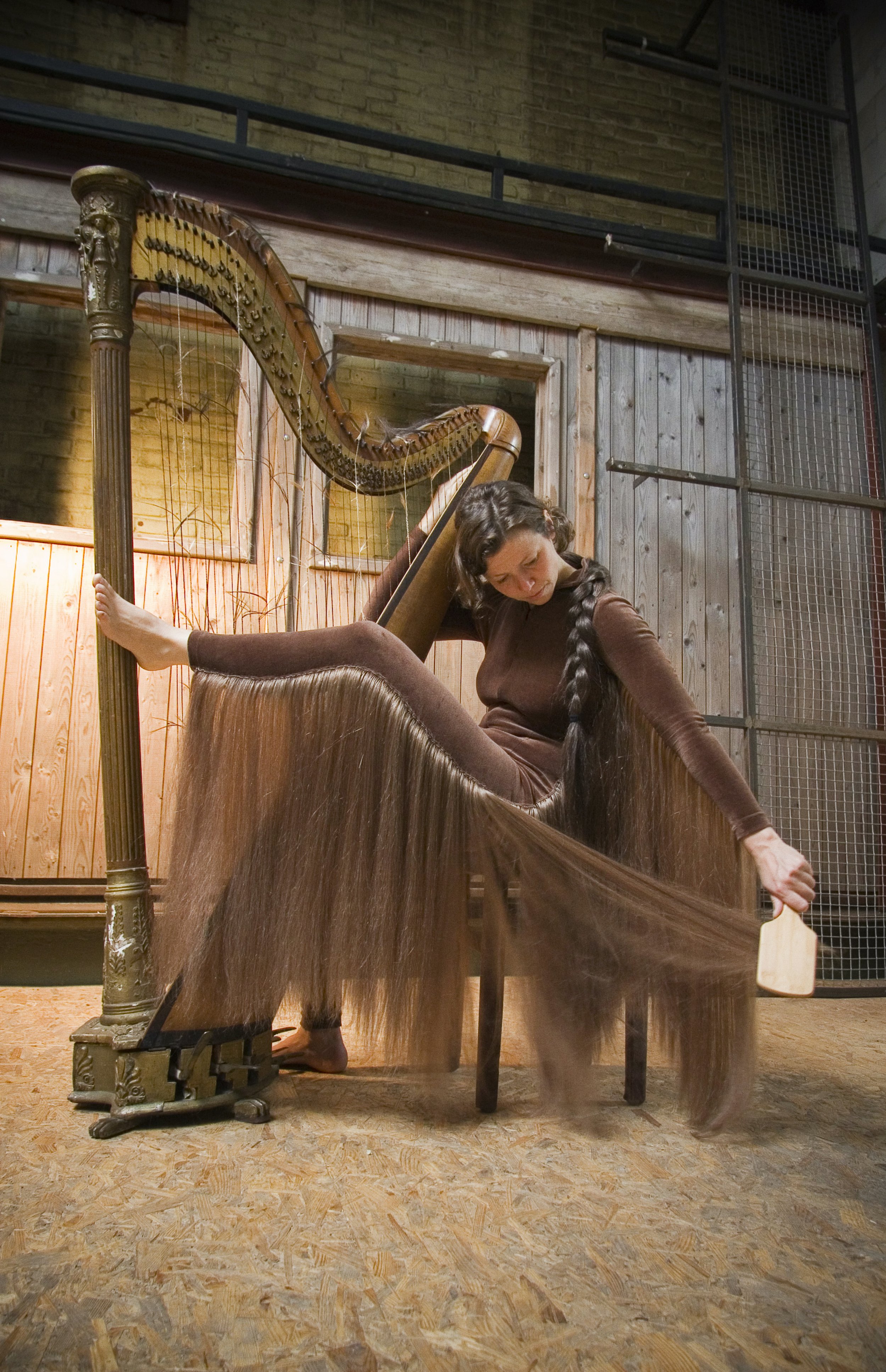 Linda Molenaar 201105 Harp 01.jpg