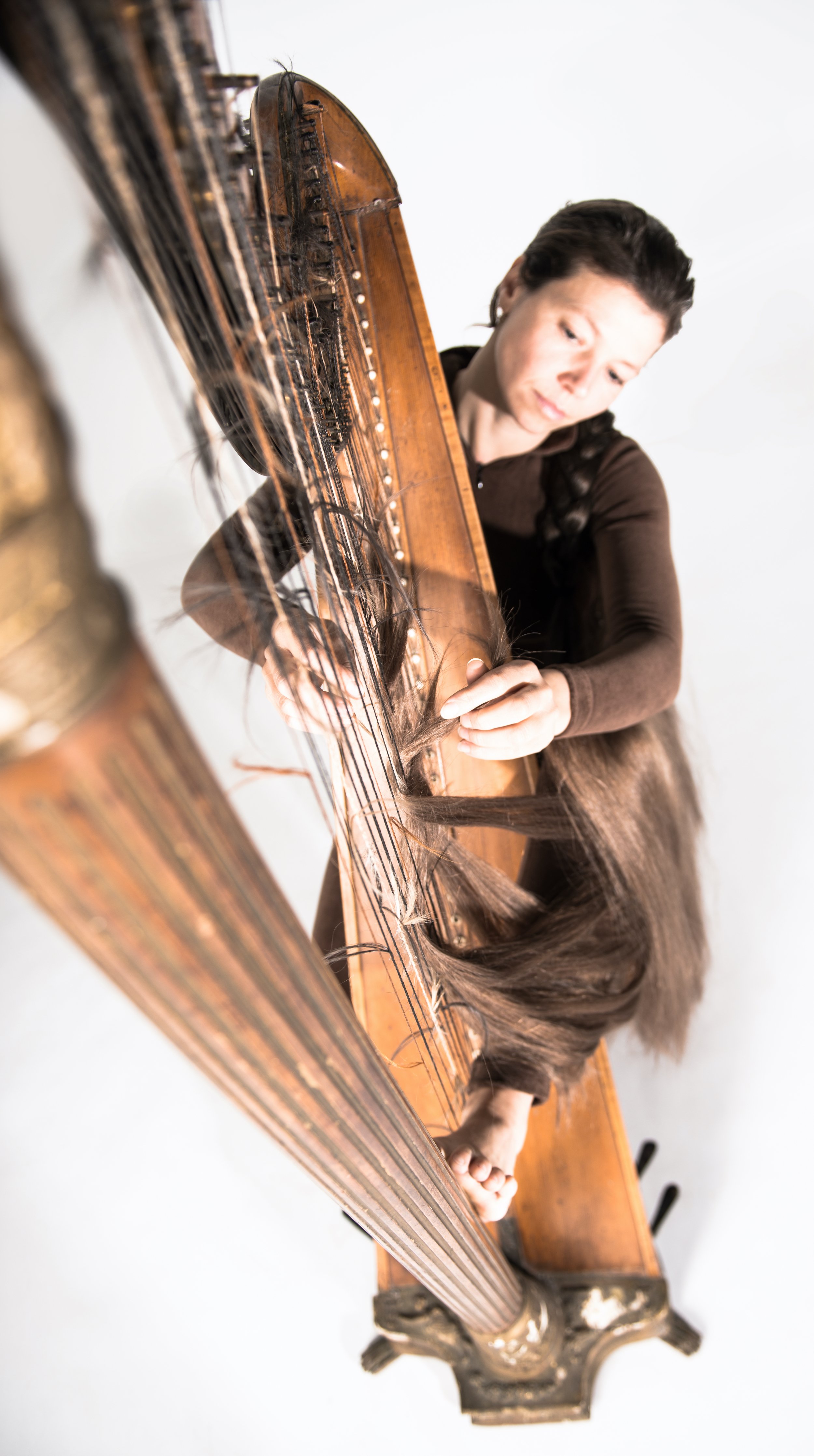 Linda Molenaar 201105 Harp 02.jpg