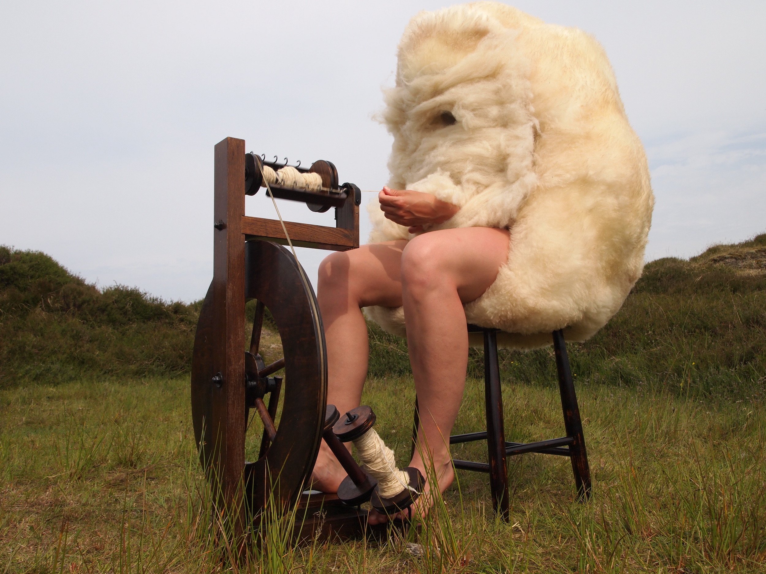 Linda Molenaar 201305 The Spinning Sheep 01.jpg