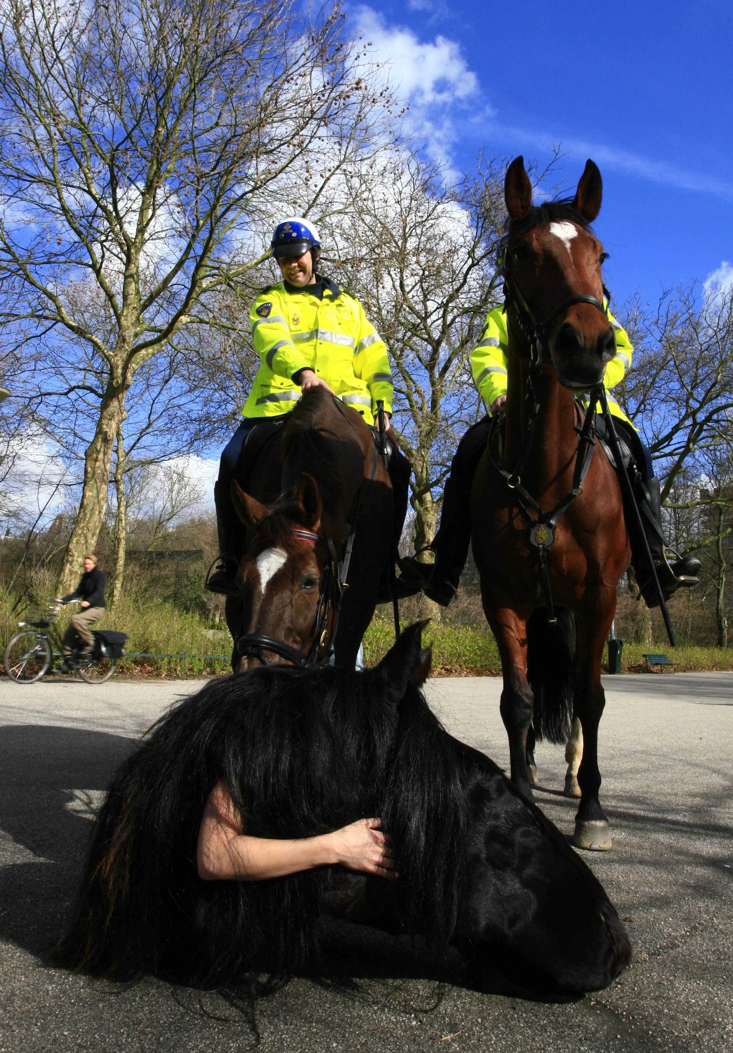 Linda Molenaar 200803 Horse Head 03.jpg