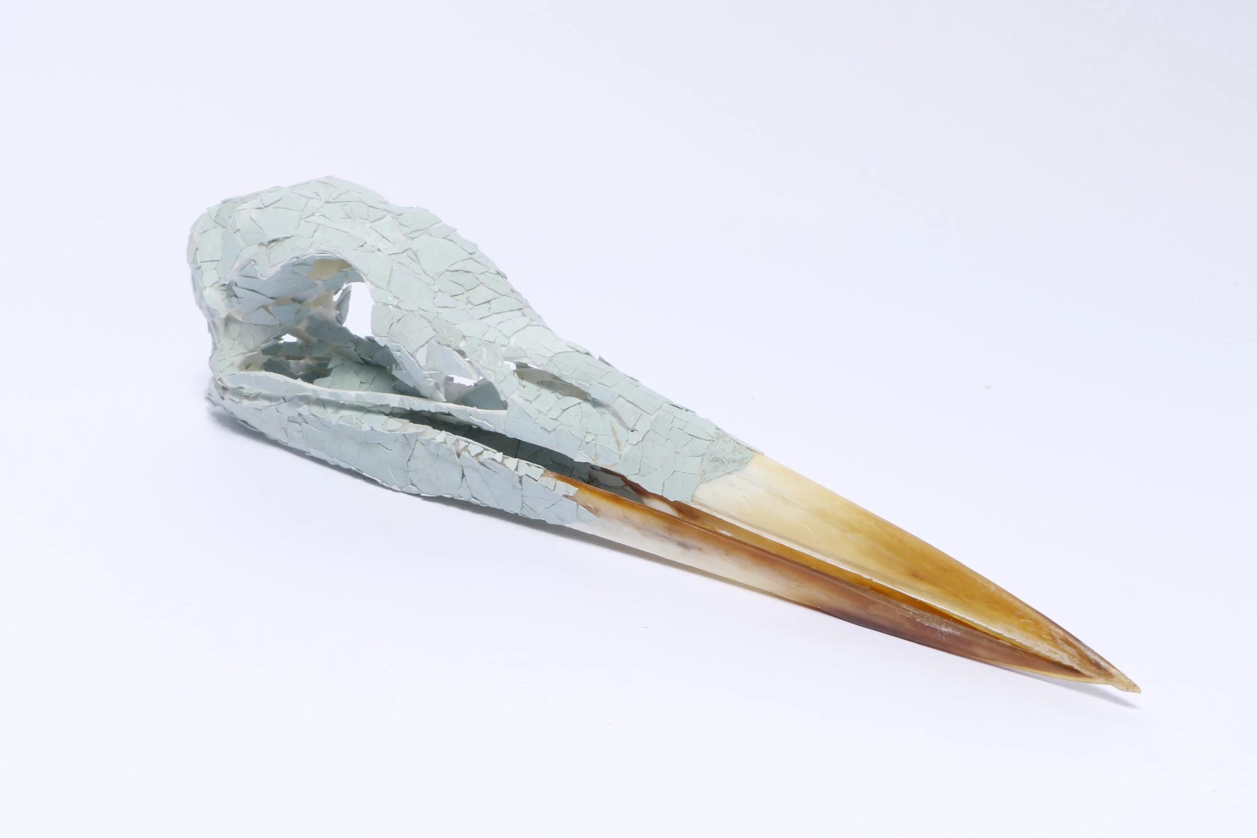 Linda Molenaar 202105 Blue heron head in it's egg 01.jpg