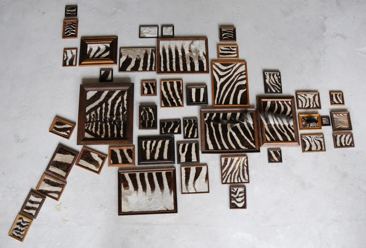 2025-05 Framed 2.jpeg