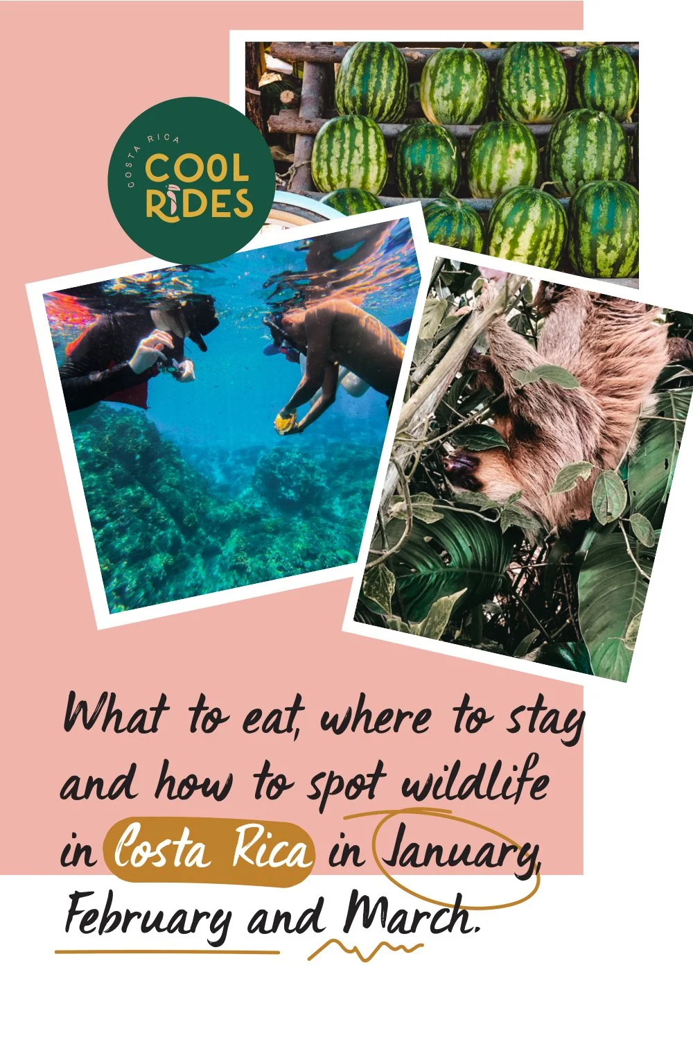 What to eat, where to stay and how to spot wildlife in Costa Rica in January, February and March 2024