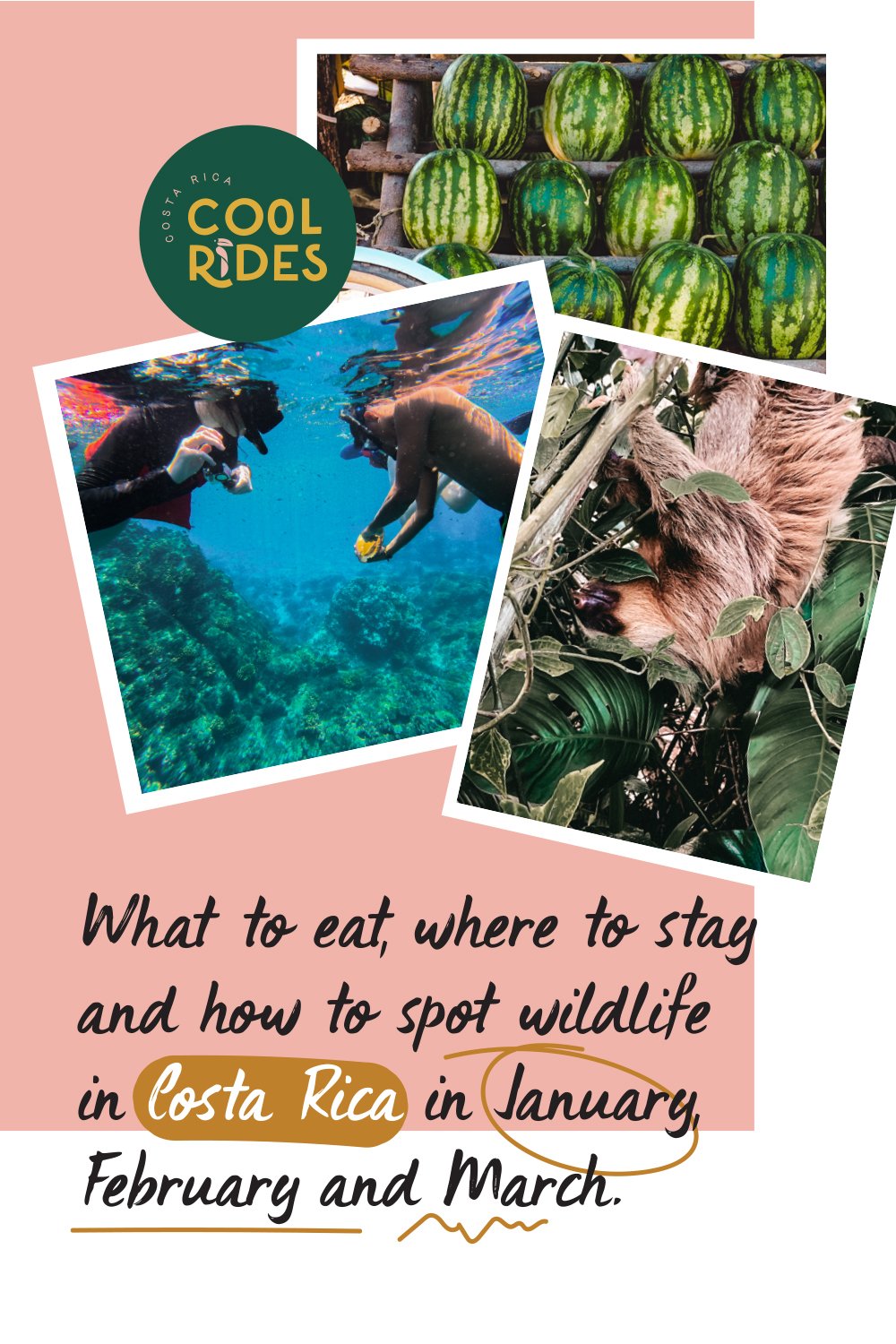 https://www.costaricacoolrides.com/conscious-travel/visiting-costa-rica-january-february-march