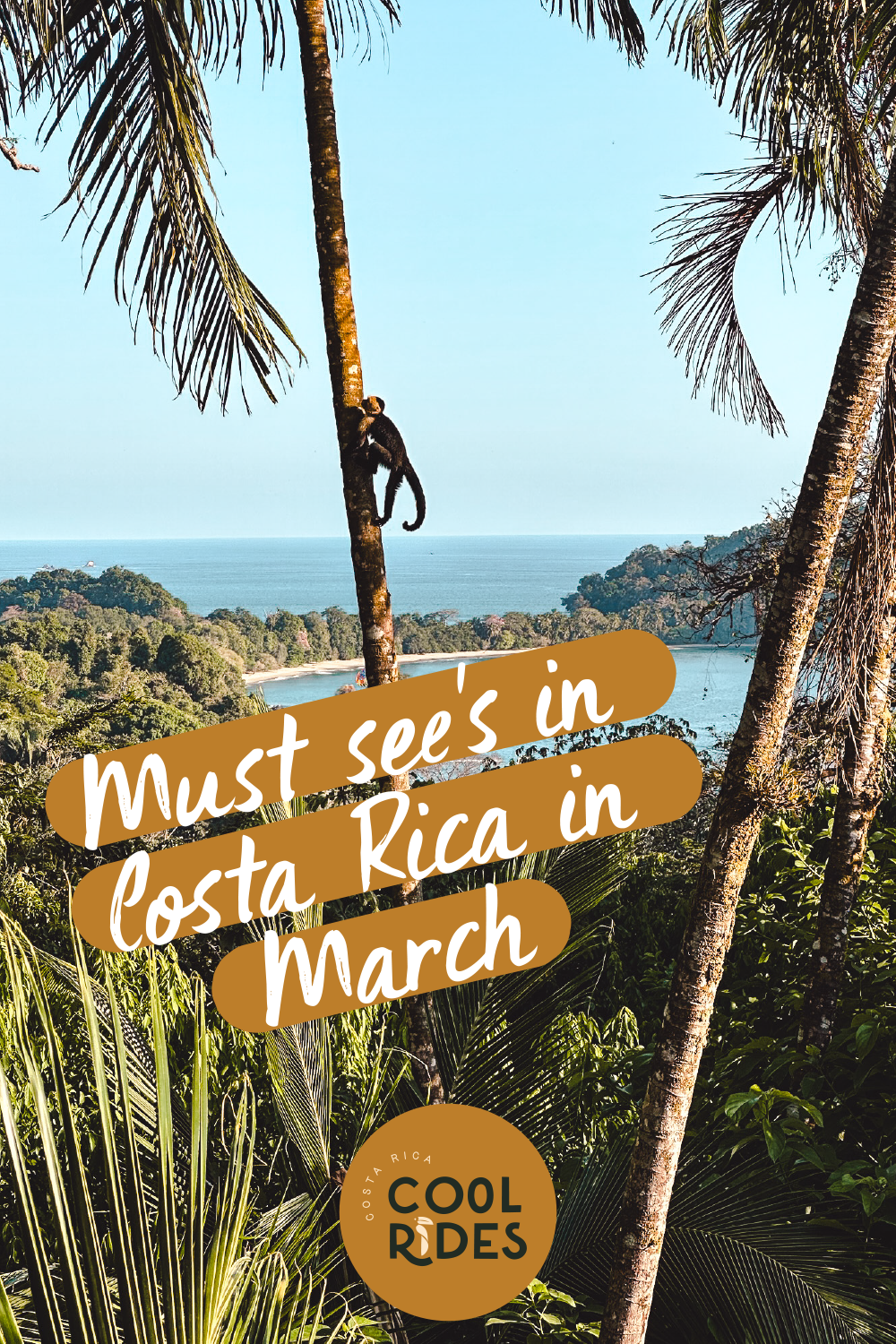 https://www.costaricacoolrides.com/tips-on-planning-a-trip-to-costa-rica/planning-a-costa-rica-trip-in-march-how-to-plan-your-best-itinerary