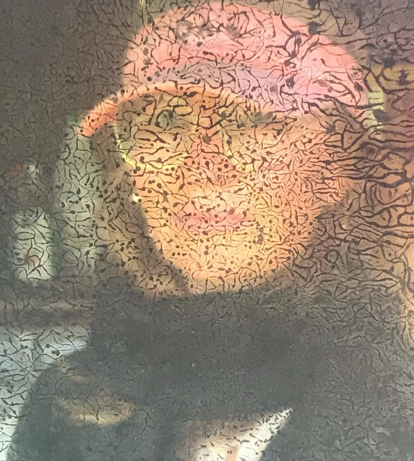 Dissolved mirror depiction of the self. There&rsquo;s one day left as a two-breasted, cancer infused creature. 

Am ready to let go and transform.

Wish me luck.

And see you on the other side🕯🕯🕯

#illnessaspractice #illnessasinitiation #illnessas