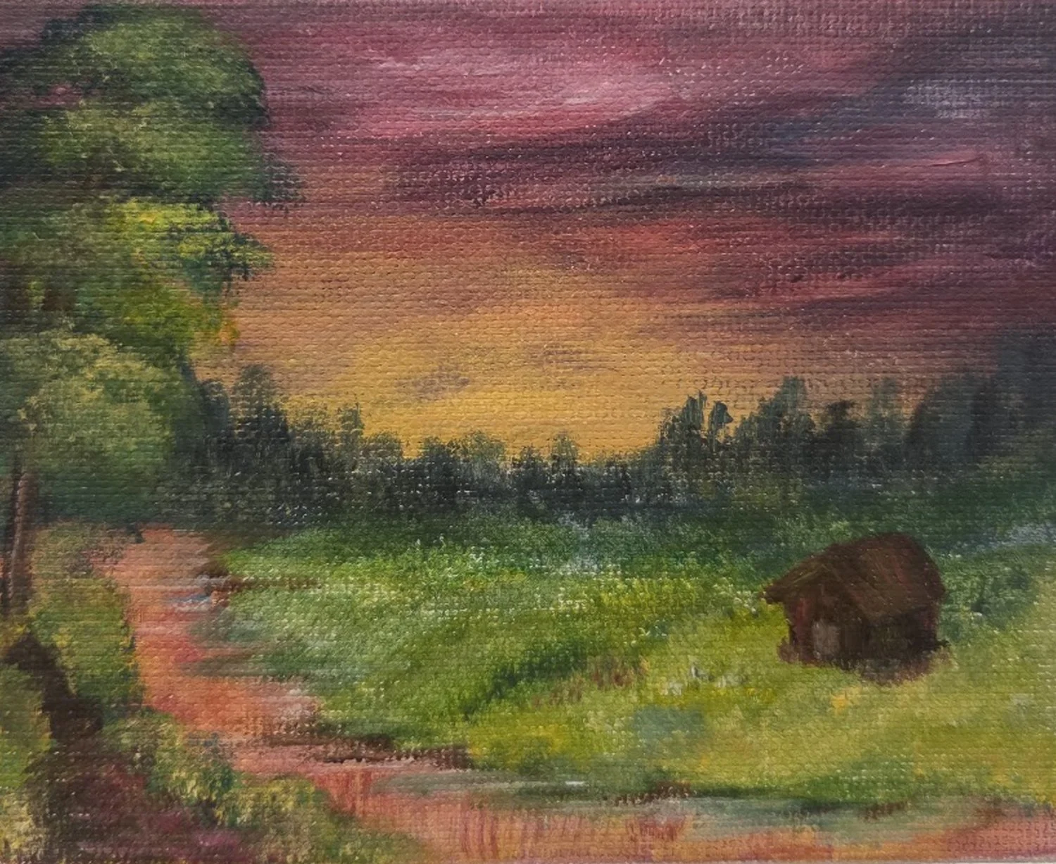 Day 157: Season 13, Episode 4 Evening Sunset