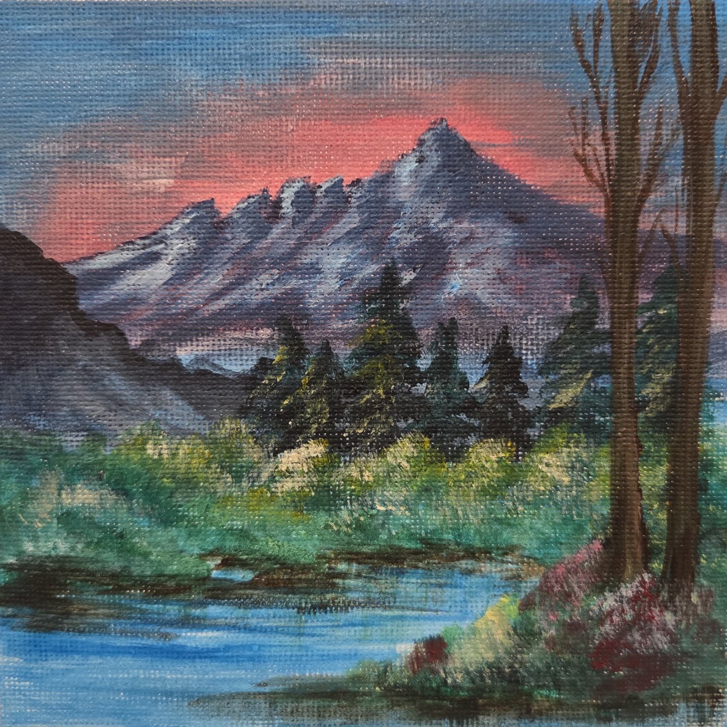 Day 235: Season 19, Episode 5 Camper’s Haven