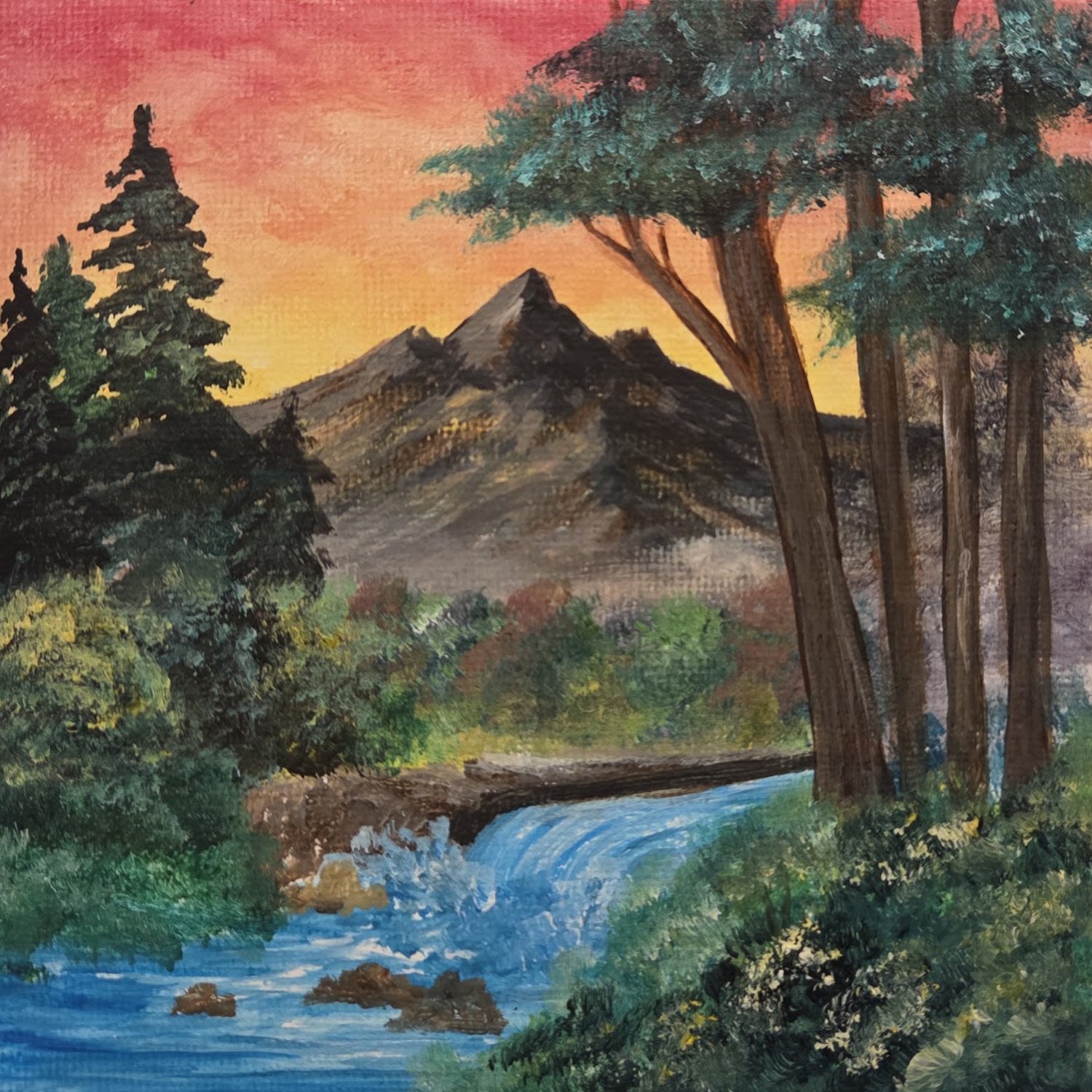 Day 238: Season 19, Episode 8 Scenic Seclusion