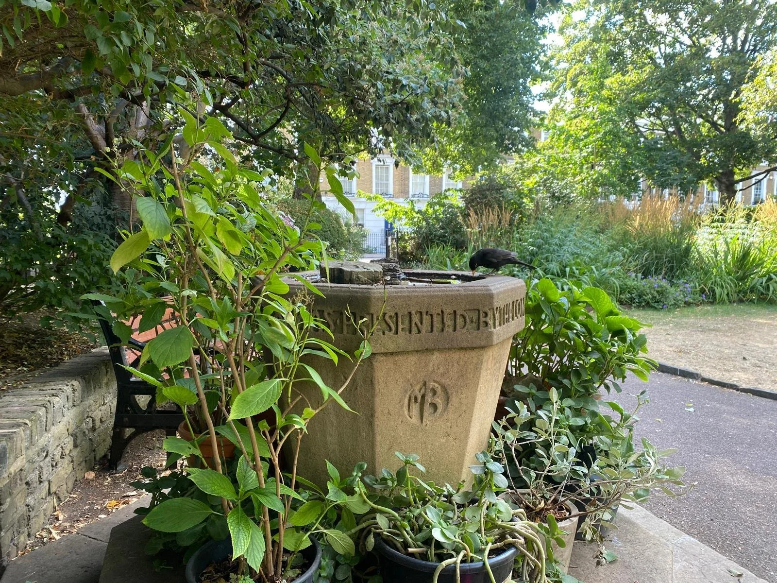 Arlington Association biodiversity plan