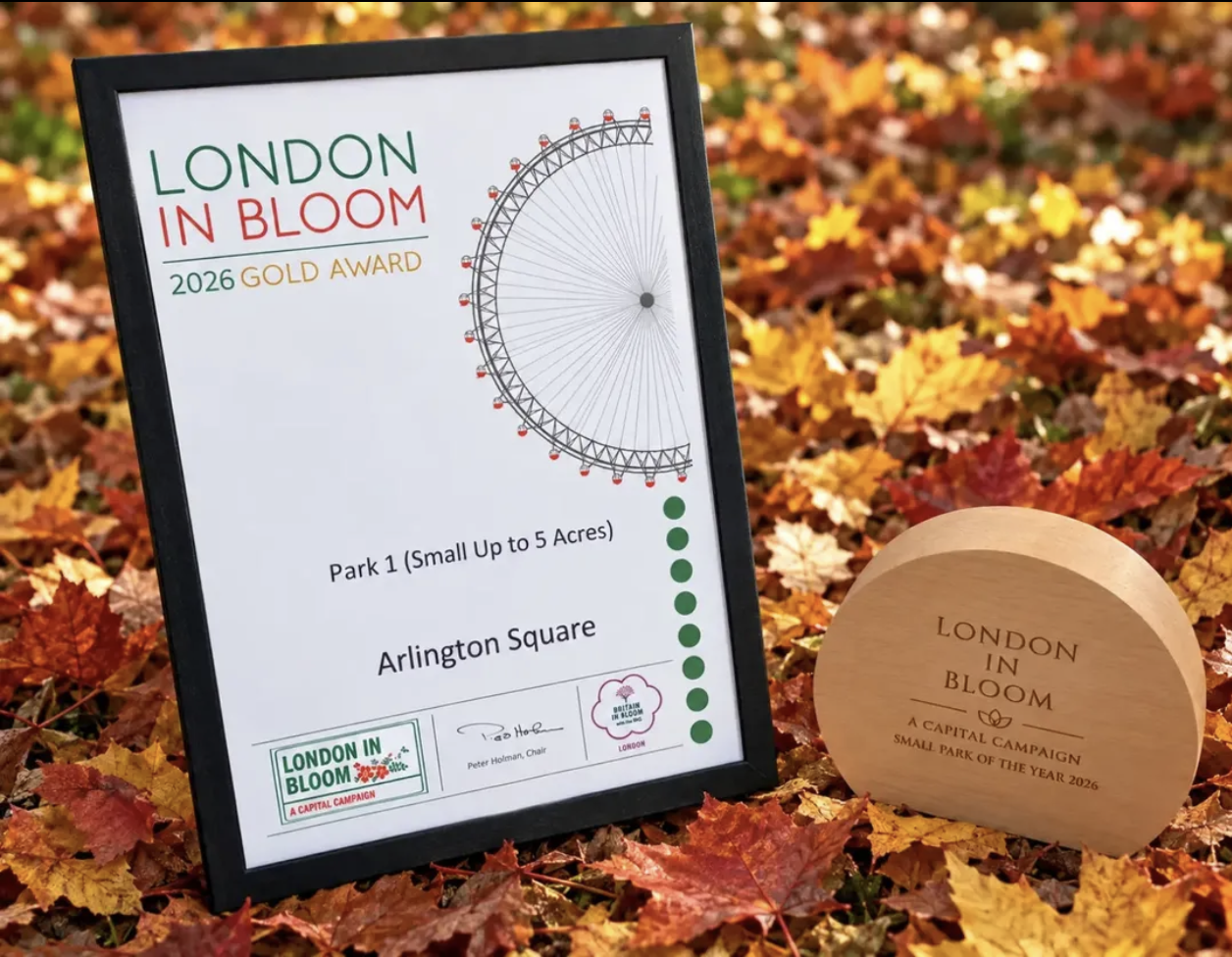 Arlington Square awards for 2026