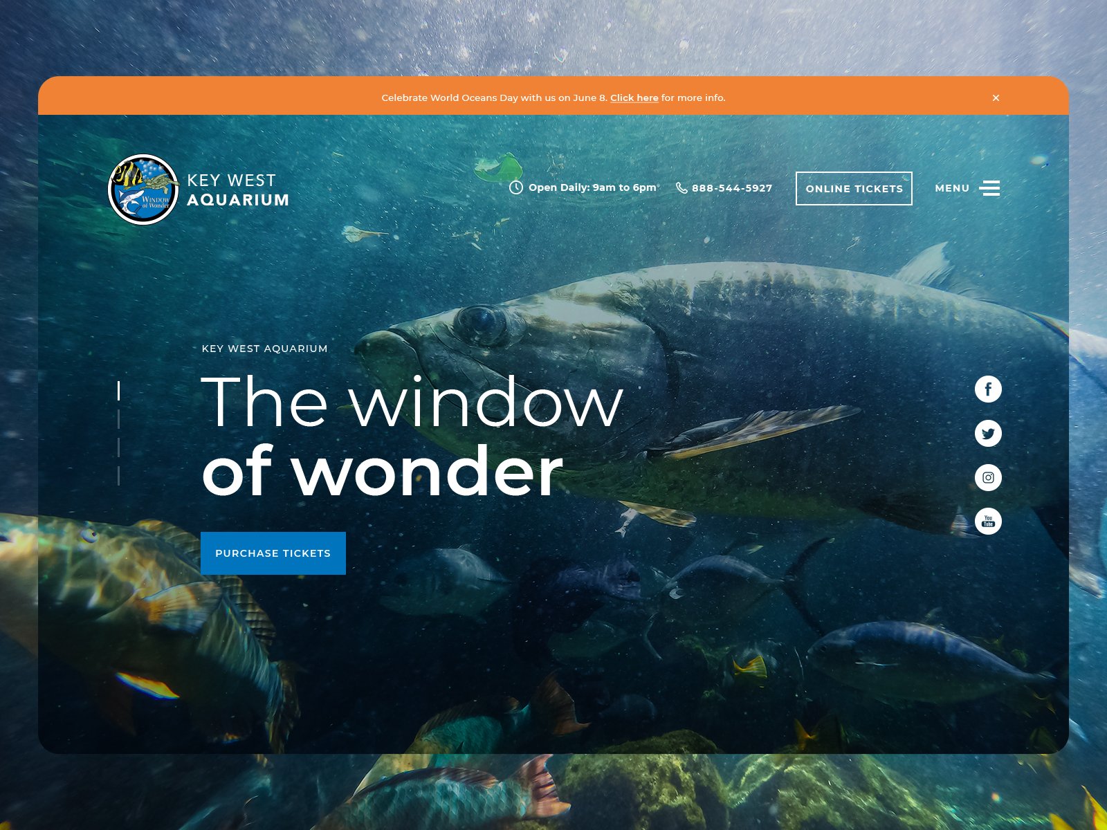 Página web de un acuario con fondo de peces y agua. Texto en pantalla: "The window of wonder" y un botón azul que dice "Purchase tickets". Encabezado en la parte superior con información de contacto y enlaces sociales a Facebook, Twitter, Instagram y