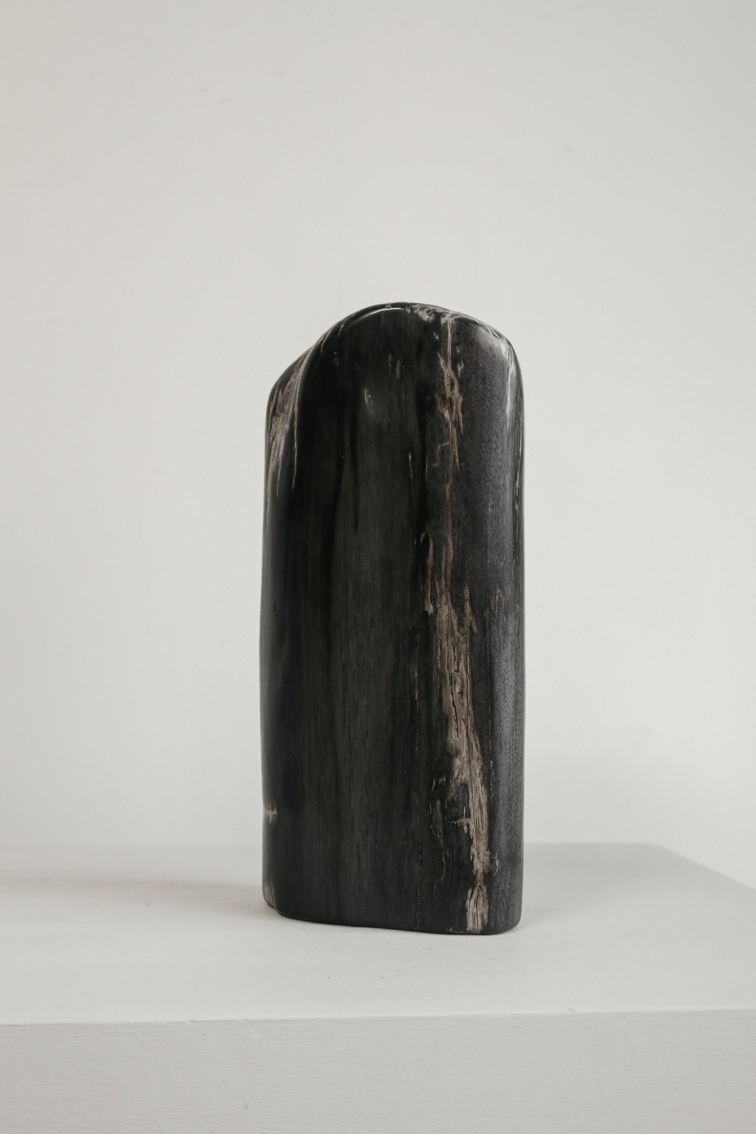 Petrified Wood Sculpture (4 of 1).jpg