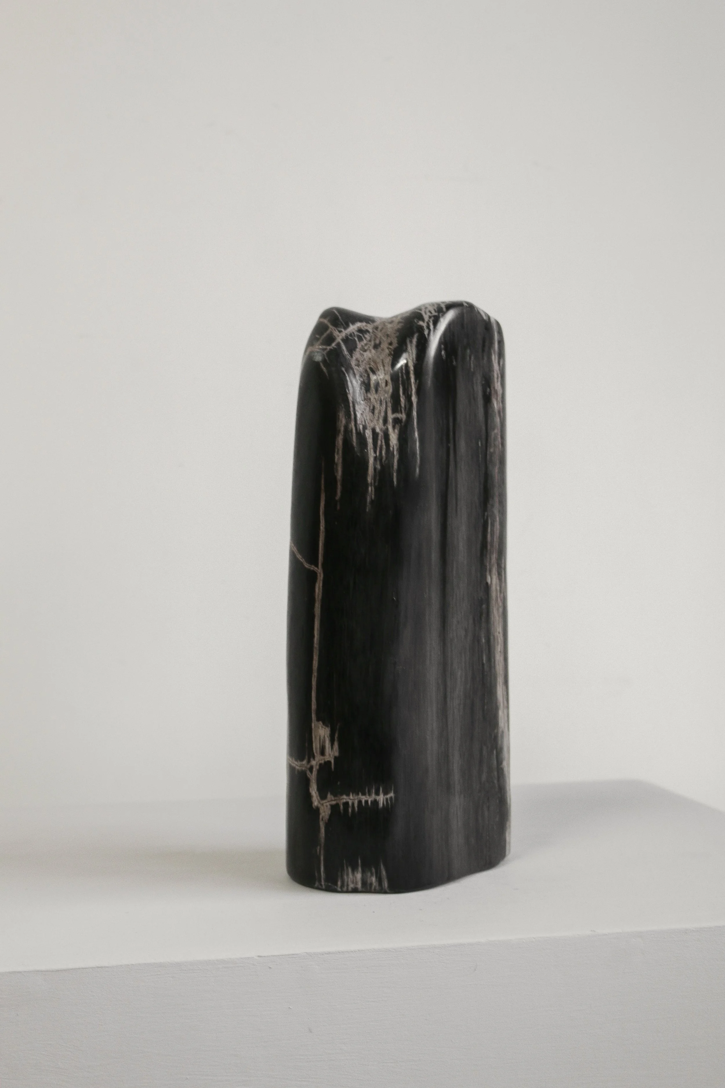 Petrified Wood Sculpture (5 of 1).jpg