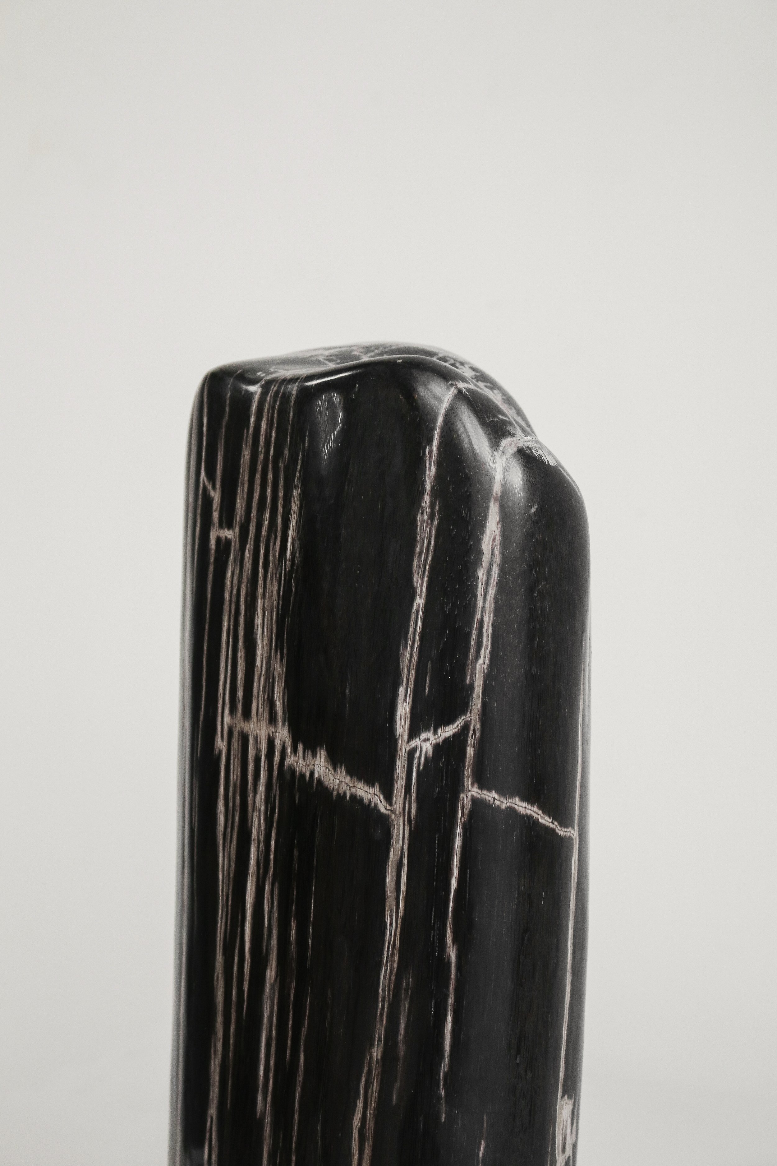 Petrified Wood Sculpture (3 of 1).jpg