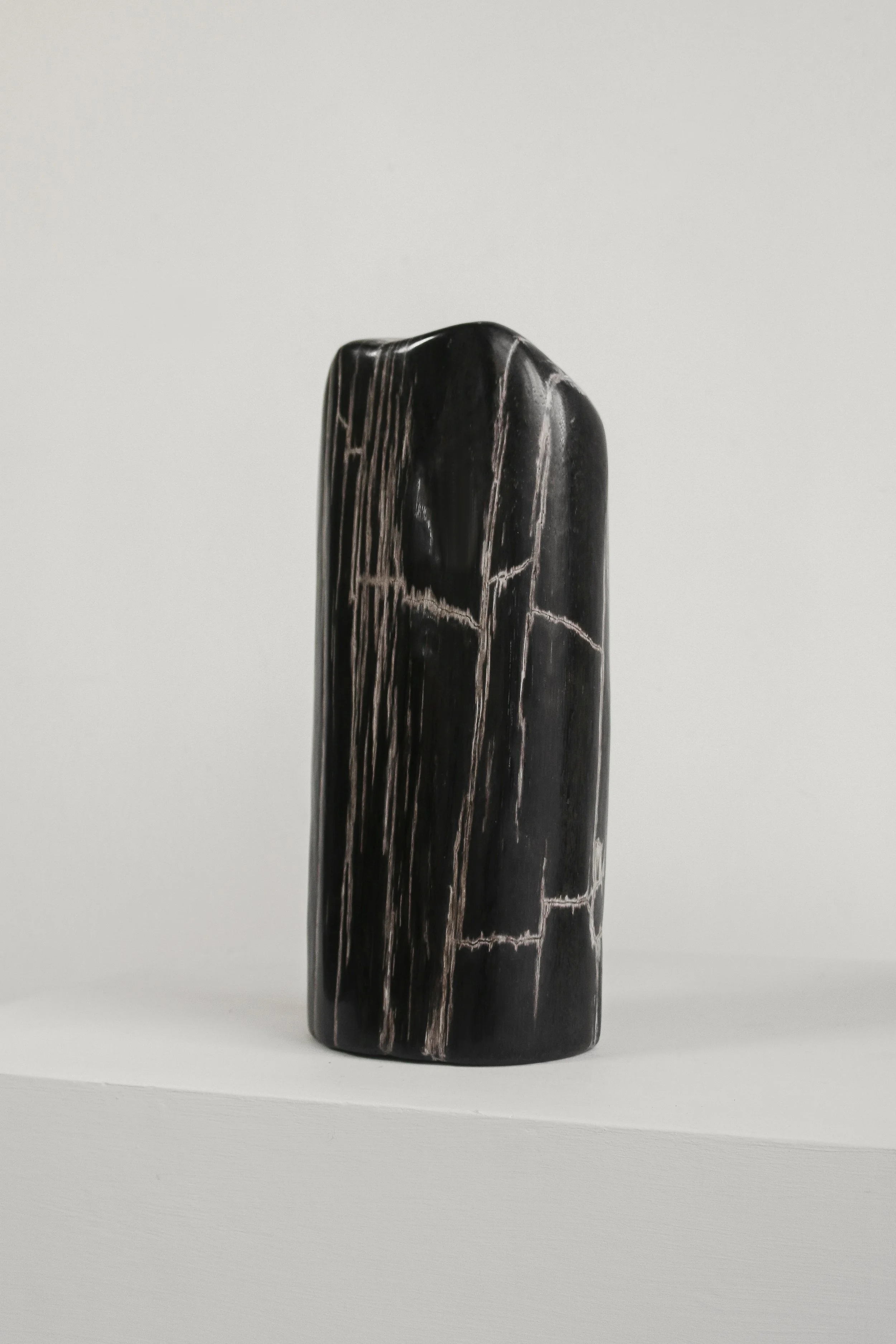 Petrified Wood Sculpture (1 of 1).jpg