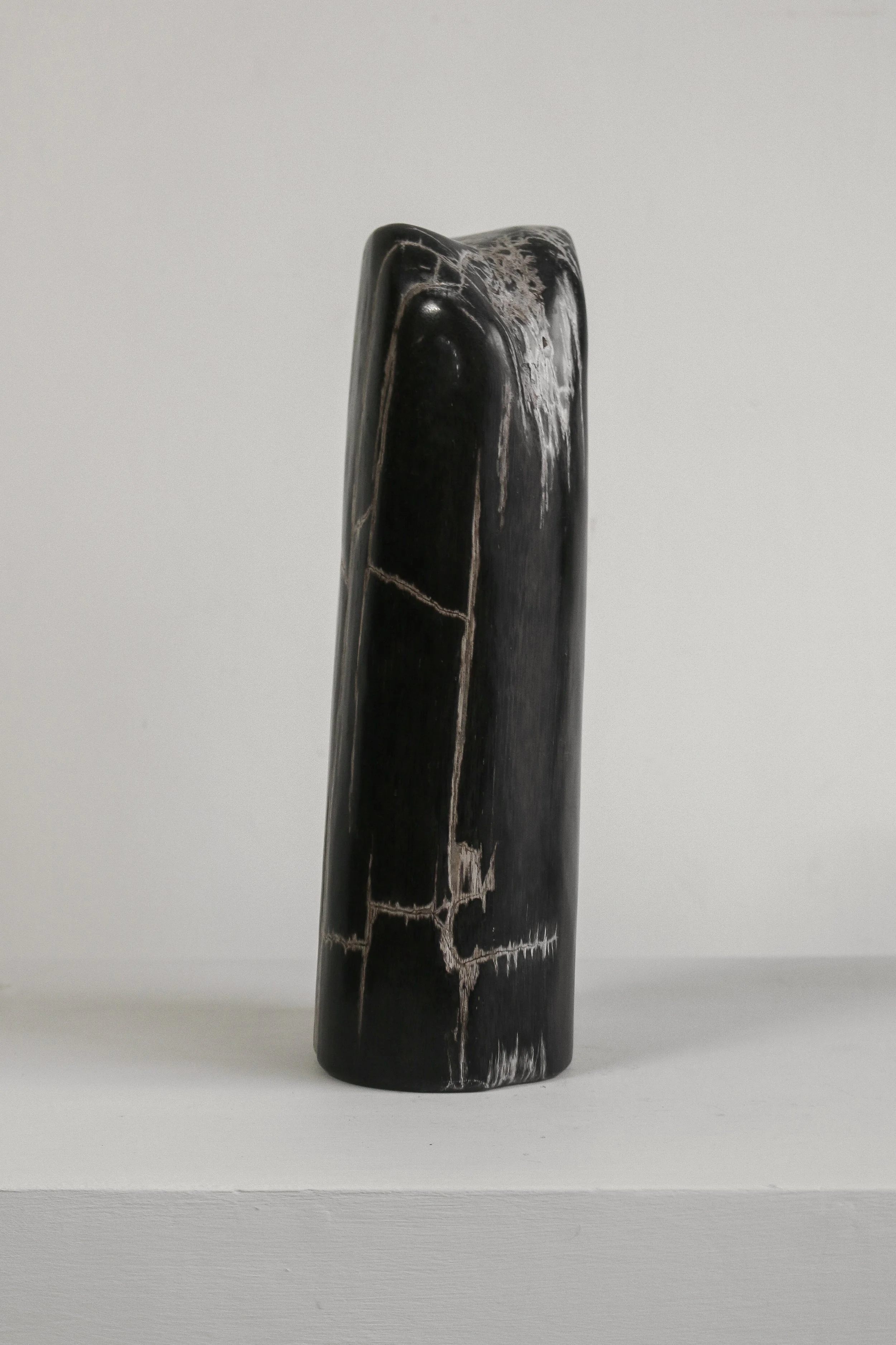 Petrified Wood Sculpture (6 of 1).jpg