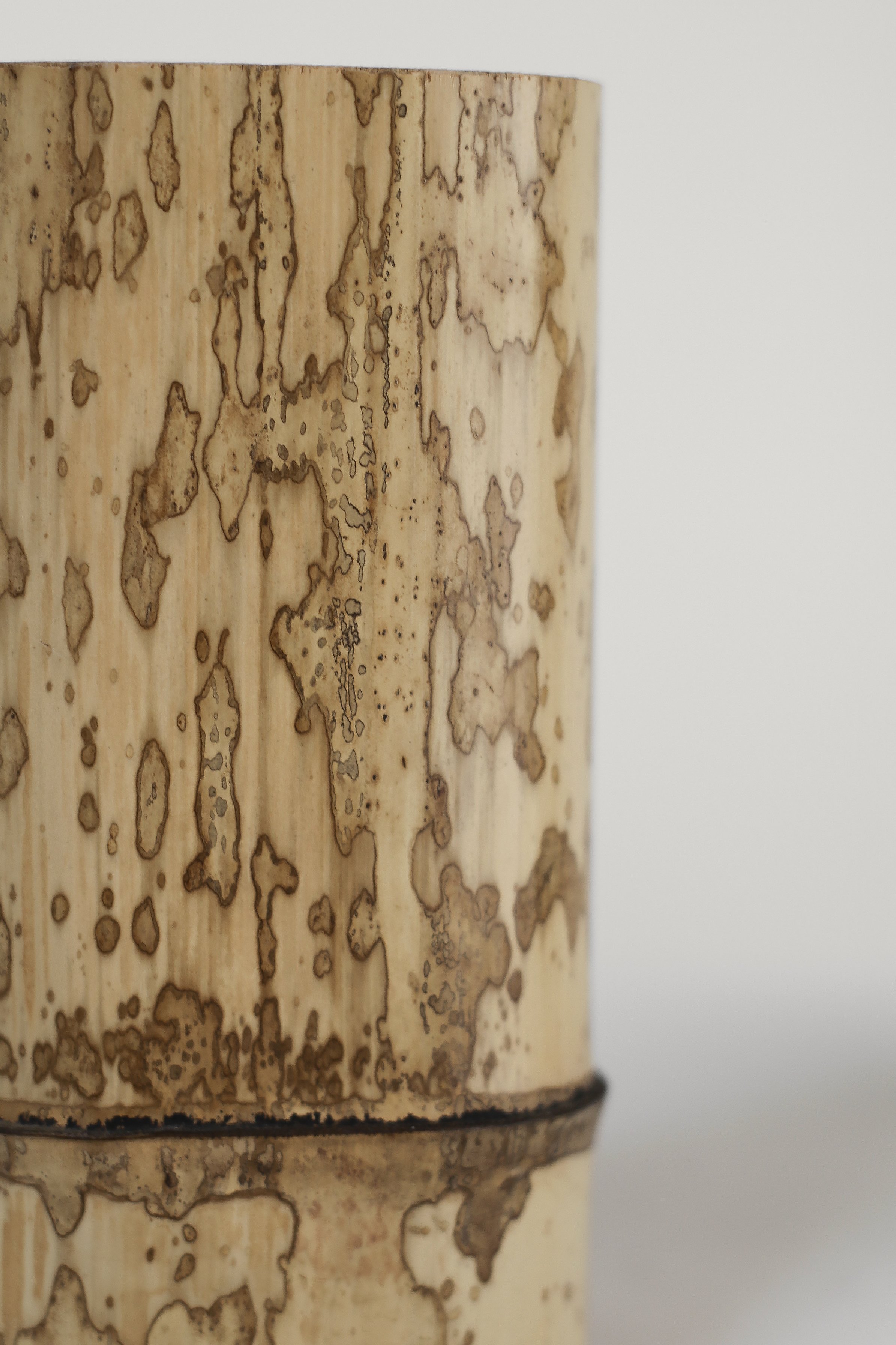 Japanese Spalted Bamboo Vase-6.jpg