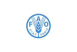 FAO logo