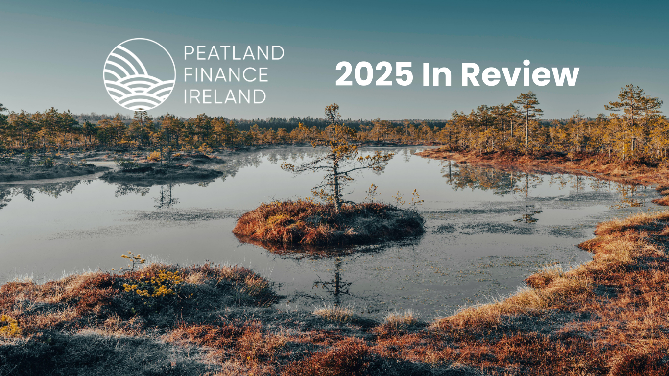 Our Year in Review - Looking Back at 2025