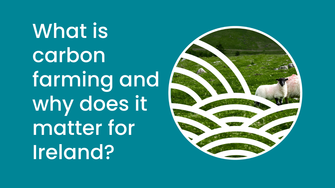 Carbon farming - what is it, and why does it matter for Ireland?