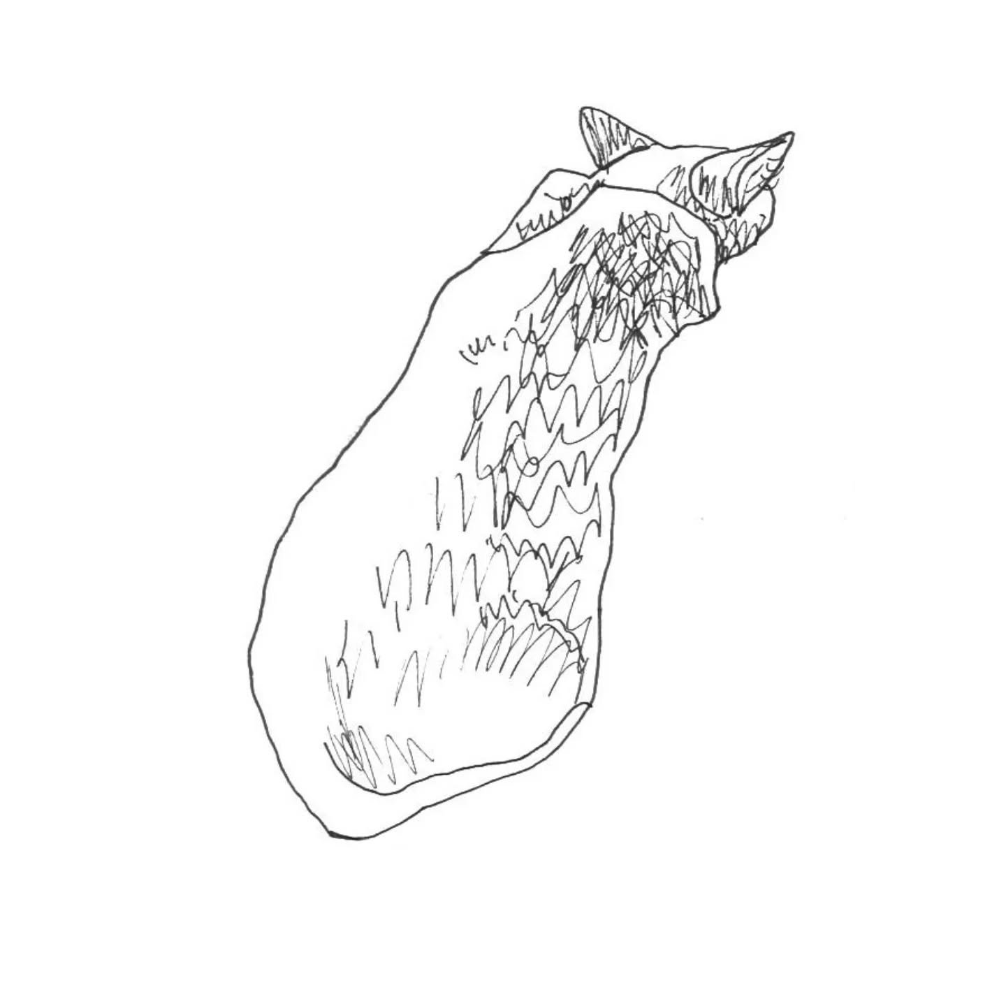 Drawing the cat - a definite mood booster.