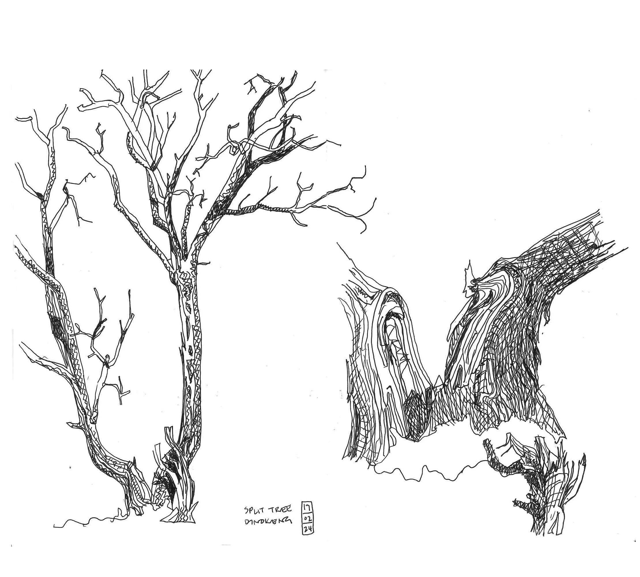 sketch of a lightning damaged tree by architect Thorsten Deckler