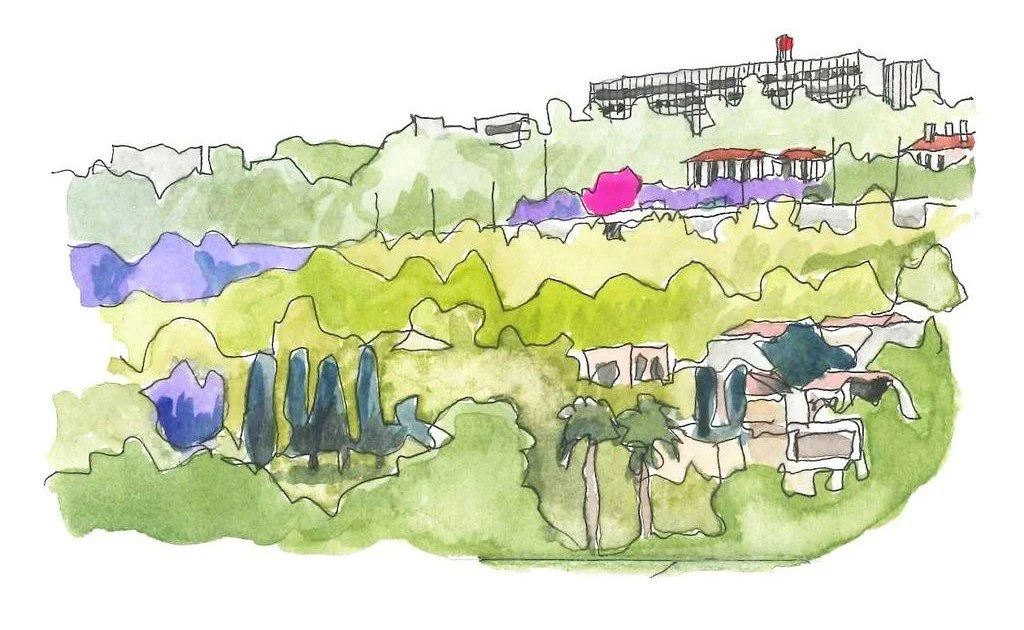 Watercolour sketch by architect Thorsten Deckler, thethinkinghand, of the jacarandas in Joburg